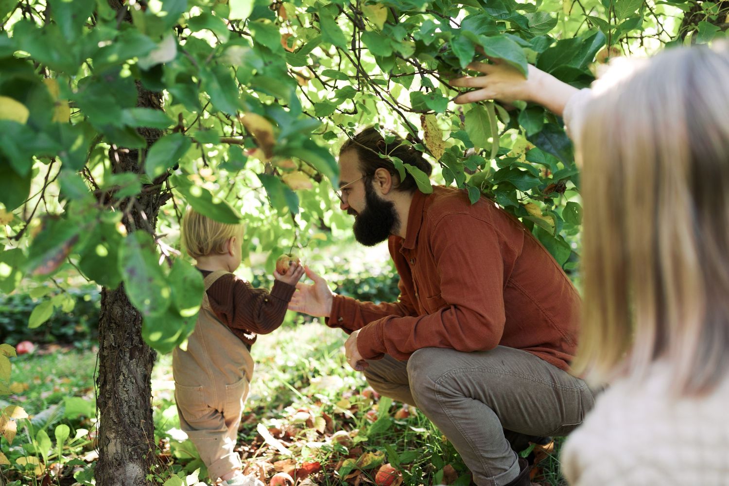 A person shares a tender moment with a small child while picking fruit from a lush tree in a sunny orchard.