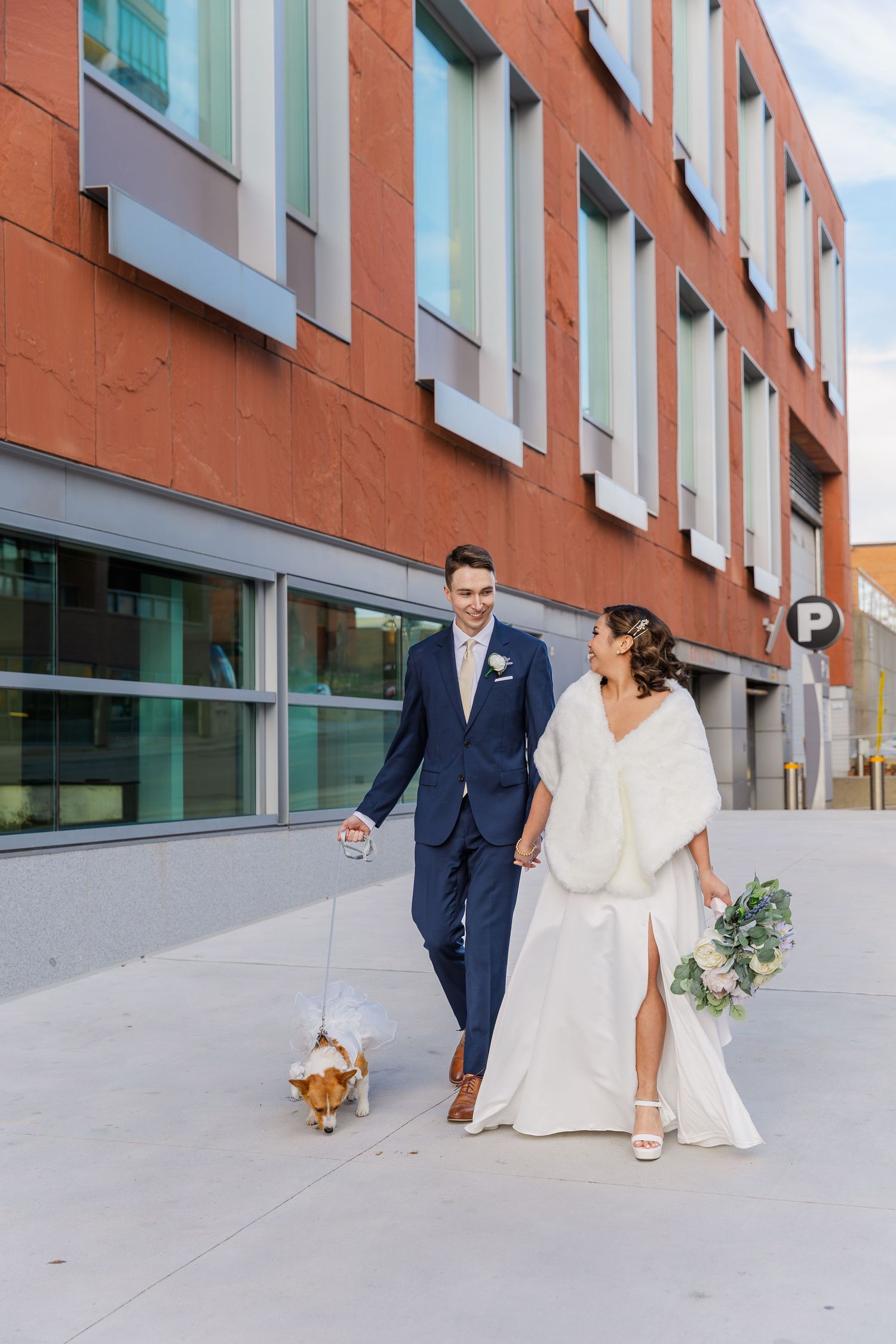 Bride and groom walk their dog during their wedding in downtown Kitchener, Ontario beside the DTK chapel.