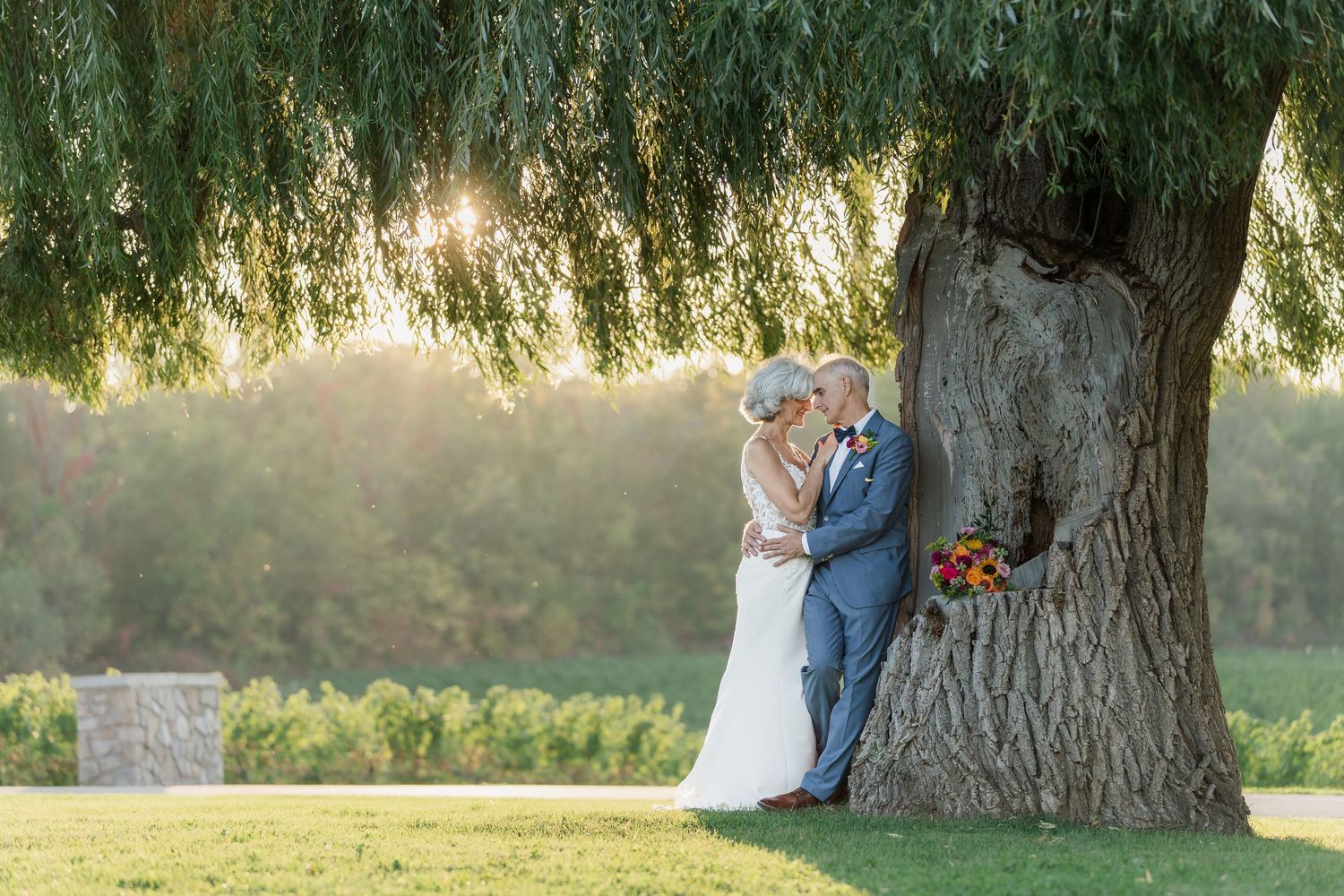 Romantic sunset photos of a bride and groom under a majestic willow tree at Vineland Estates Winery.