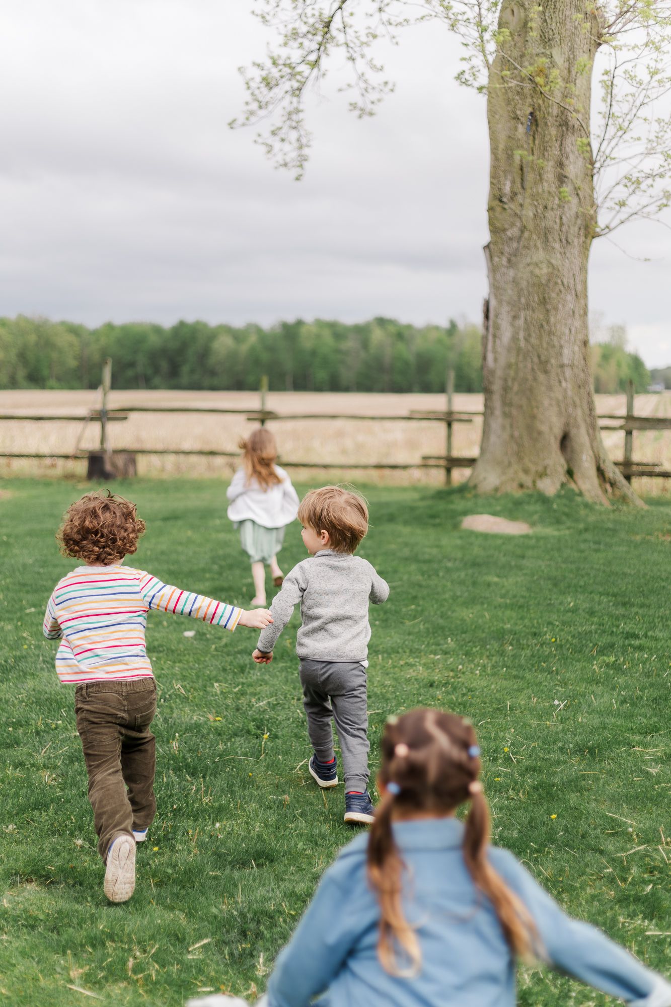 Children playing and running on grass during their family photo session with blush west photography in southern waterford ontario, canada.