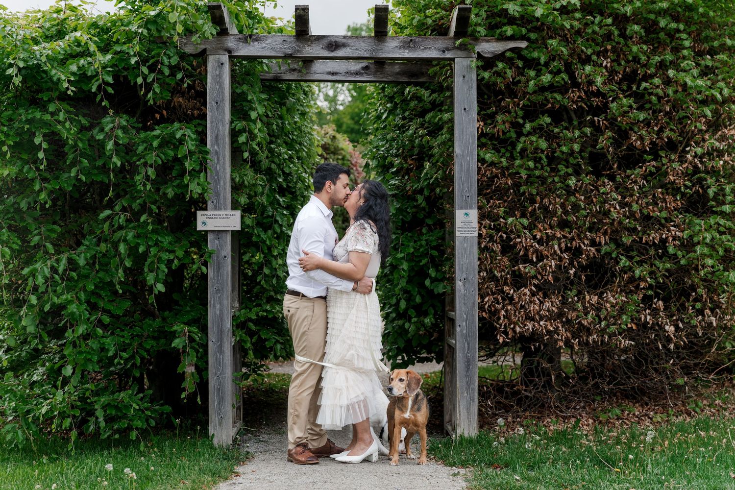 Candid engagement photo of couple kissing while wrapped by their dogs leashes at the guelph arboretum in guelph, ontario.