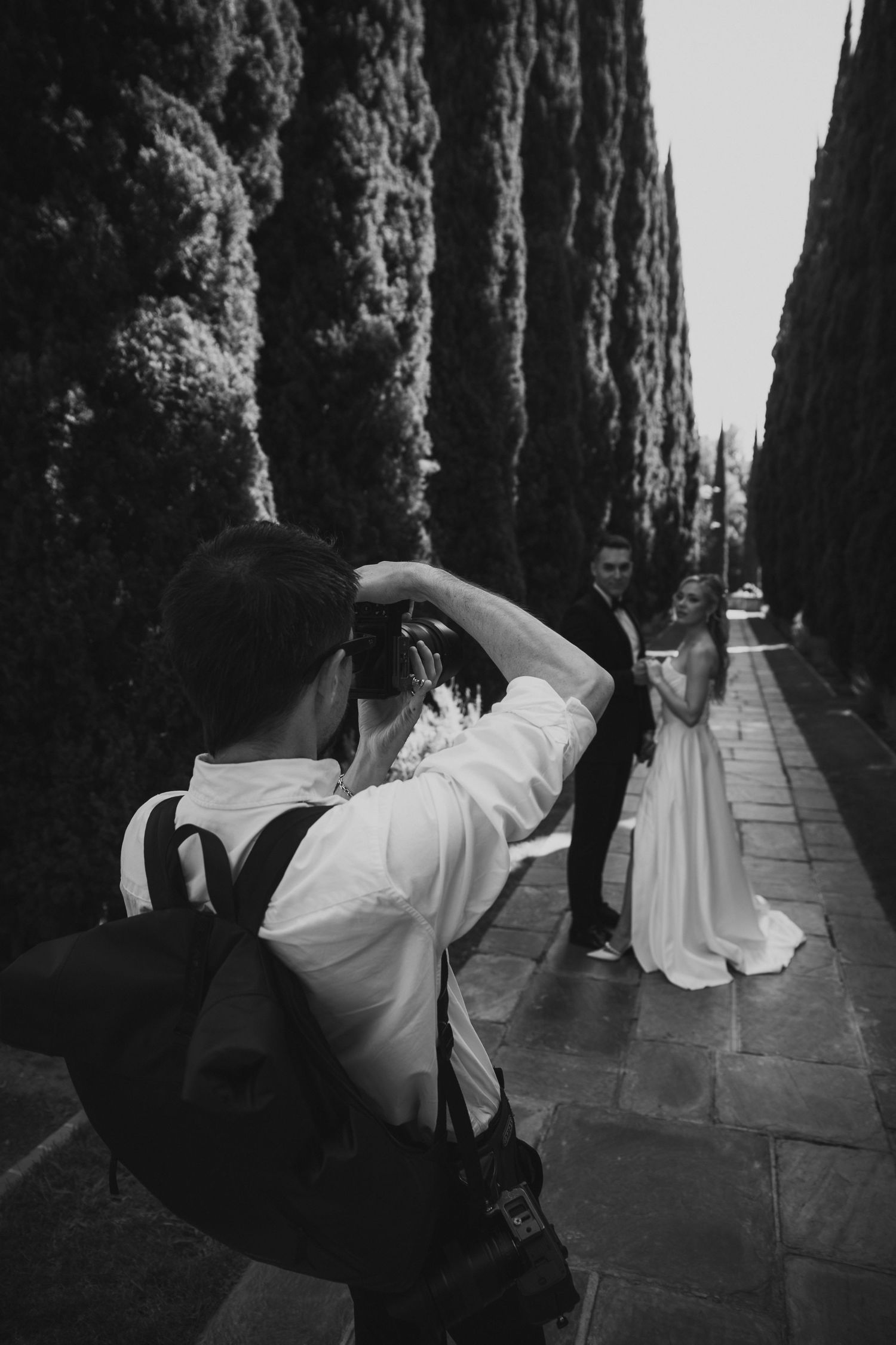 A wedding photographer captures a bride posing in a cypress tree-lined path in dramatic black and white.