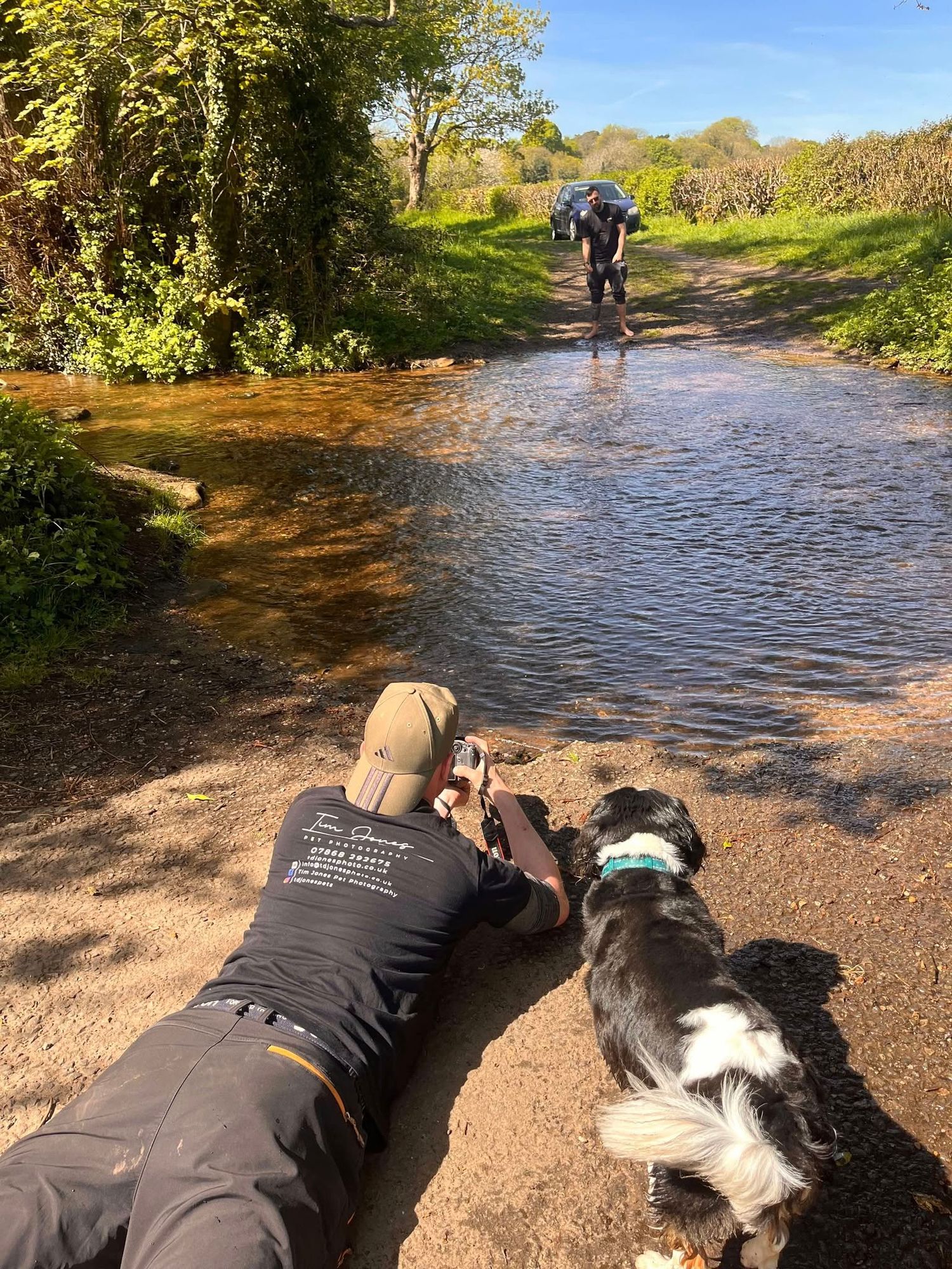 A series of photos showing a dog splashing and playing in a shallow stream on a sunny autumn day.