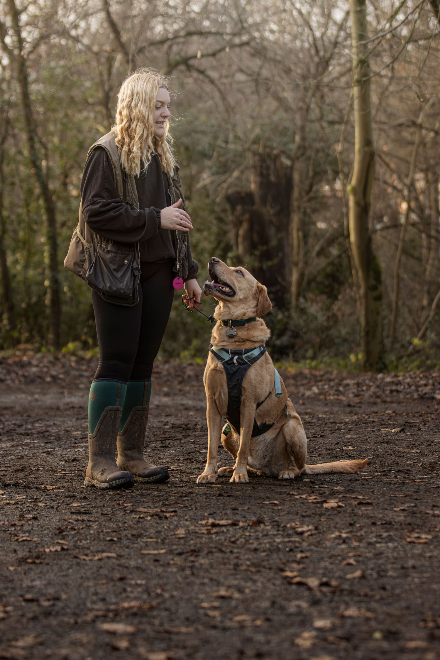 Woman in green wellies training a golden Labrador dog to sit in a woodland setting.