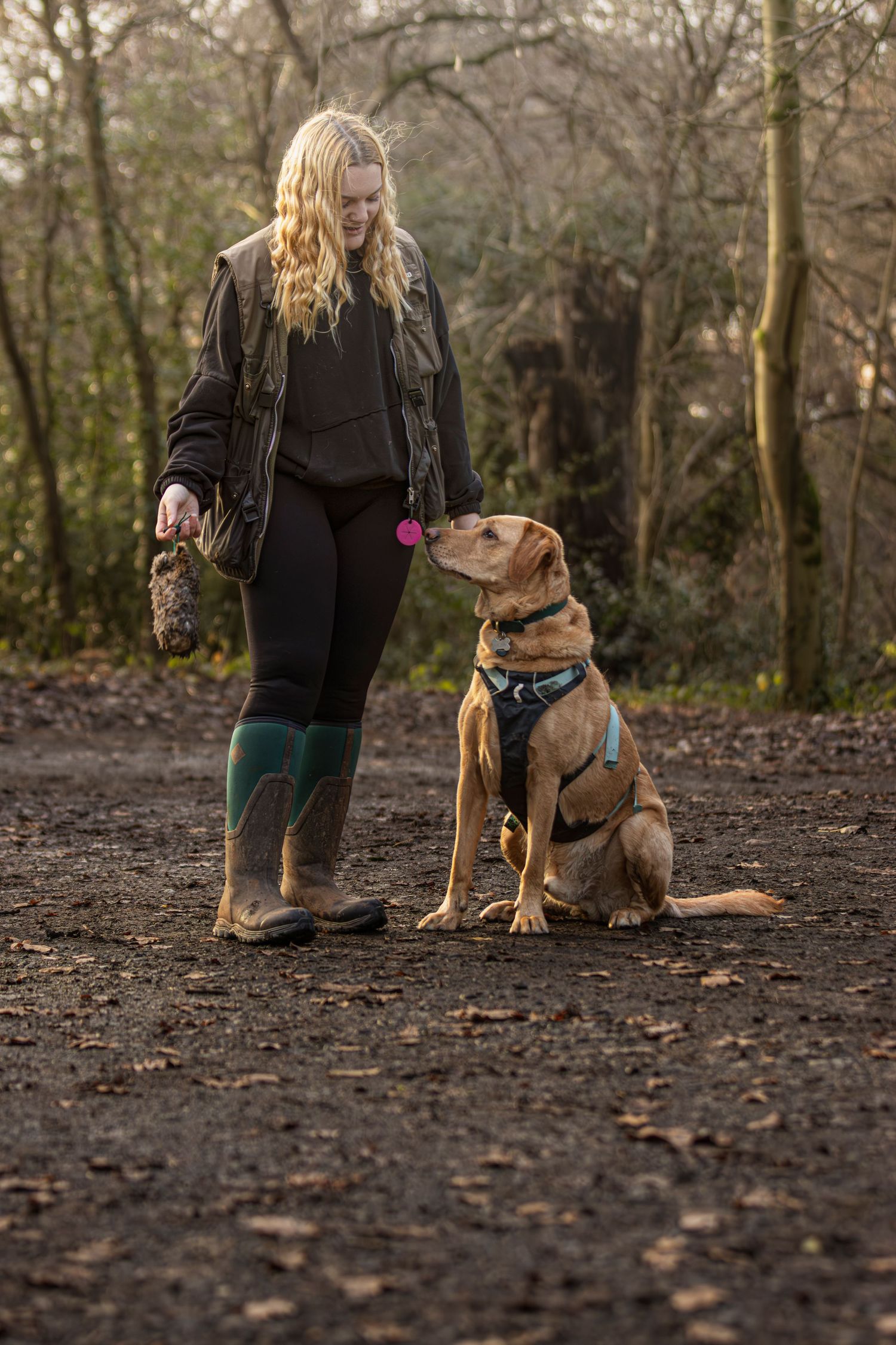 A dog trainer works with a brown pitbull on a dirt path in a wooded area during training exercises.