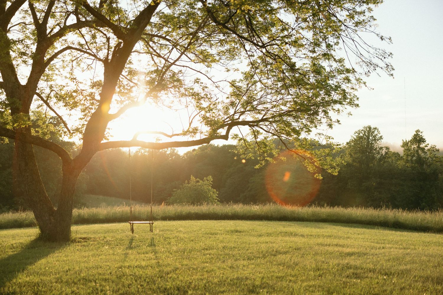 Golden sunlight streams through tree branches in a serene rural landscape at sunset. Luxury Estate Wedding Photographer in NC