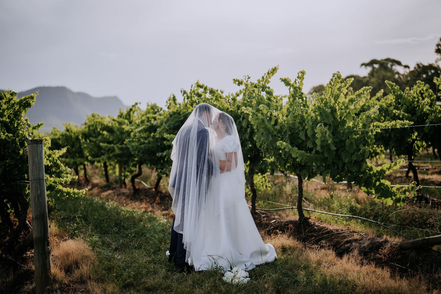 Elegant wedding portraits captured in a scenic vineyard setting.