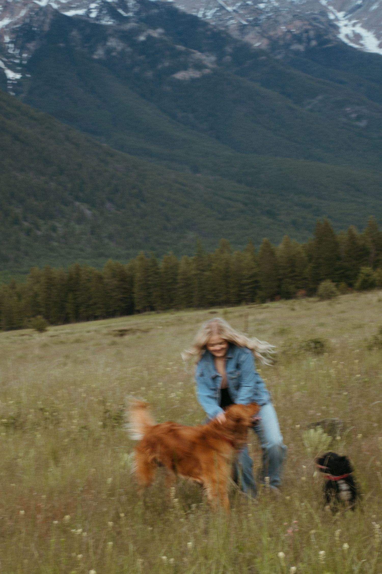 Someone enjoying a mountain hike with two dogs on a grassy hillside with snow-capped peaks in the background.