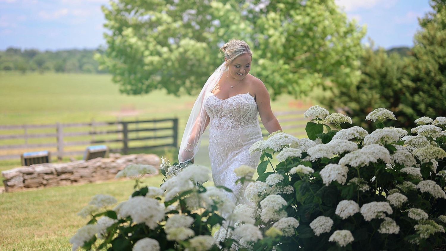 Bride in white strapless wedding gown and veil walking among blooming white hydrangeas in a lush green outdoor setting.