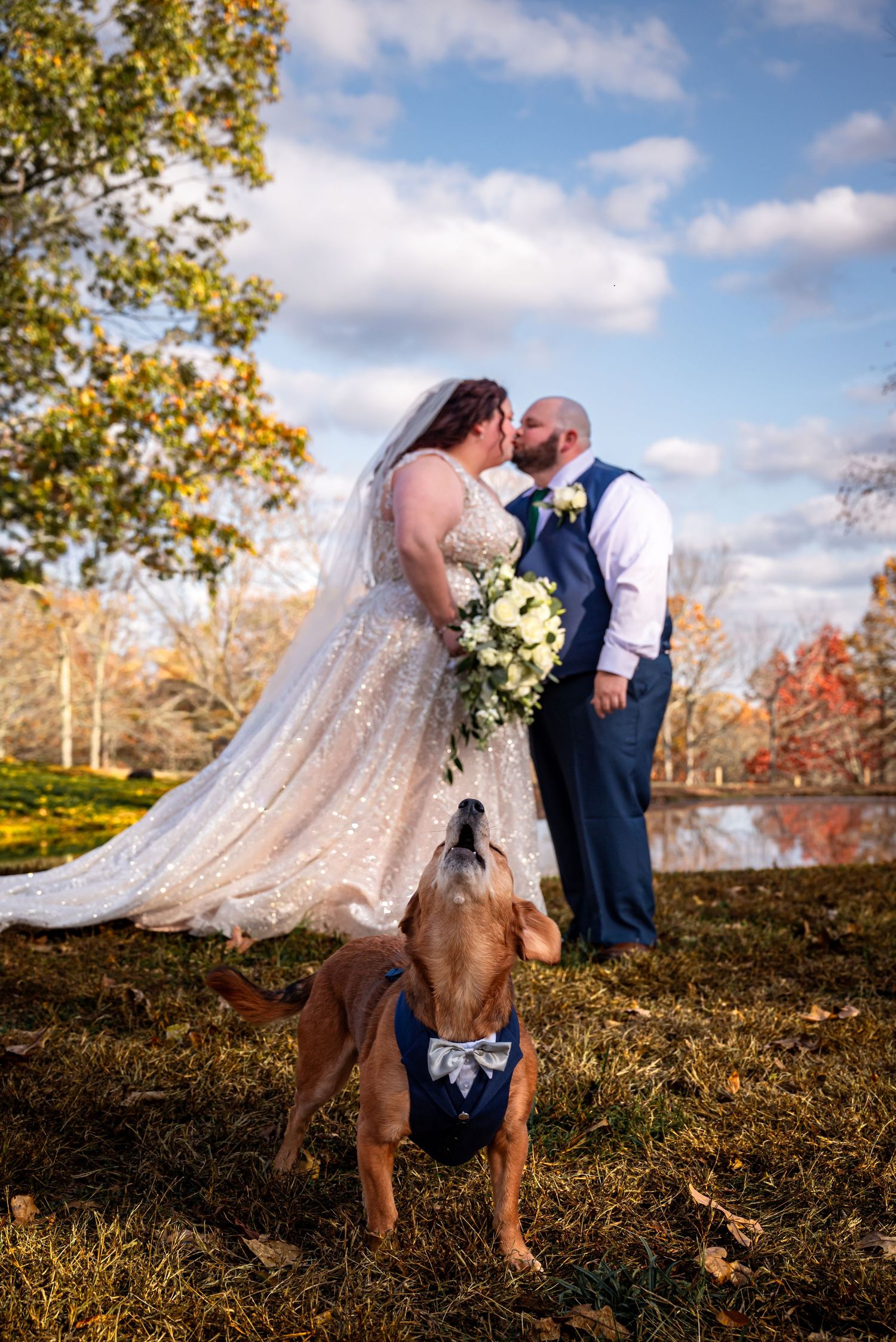 Bride and groom kissing outdoors in autumn with dog wearing blue bow tie in foreground.