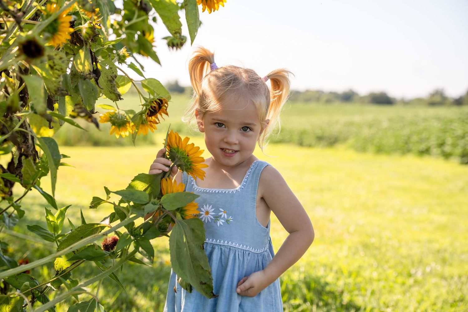 kids mini session