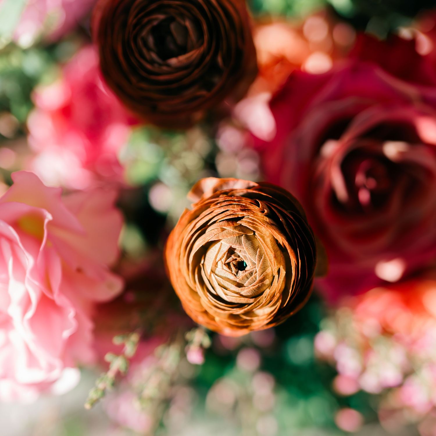 Close-up detail of pink, coral, and burgundy roses in a soft-focus floral arrangement.
