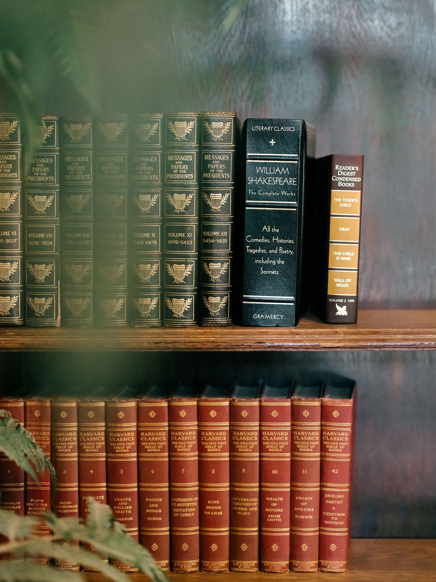 Vintage leather-bound books with gold lettering arranged on wooden shelves in a classic library setting.