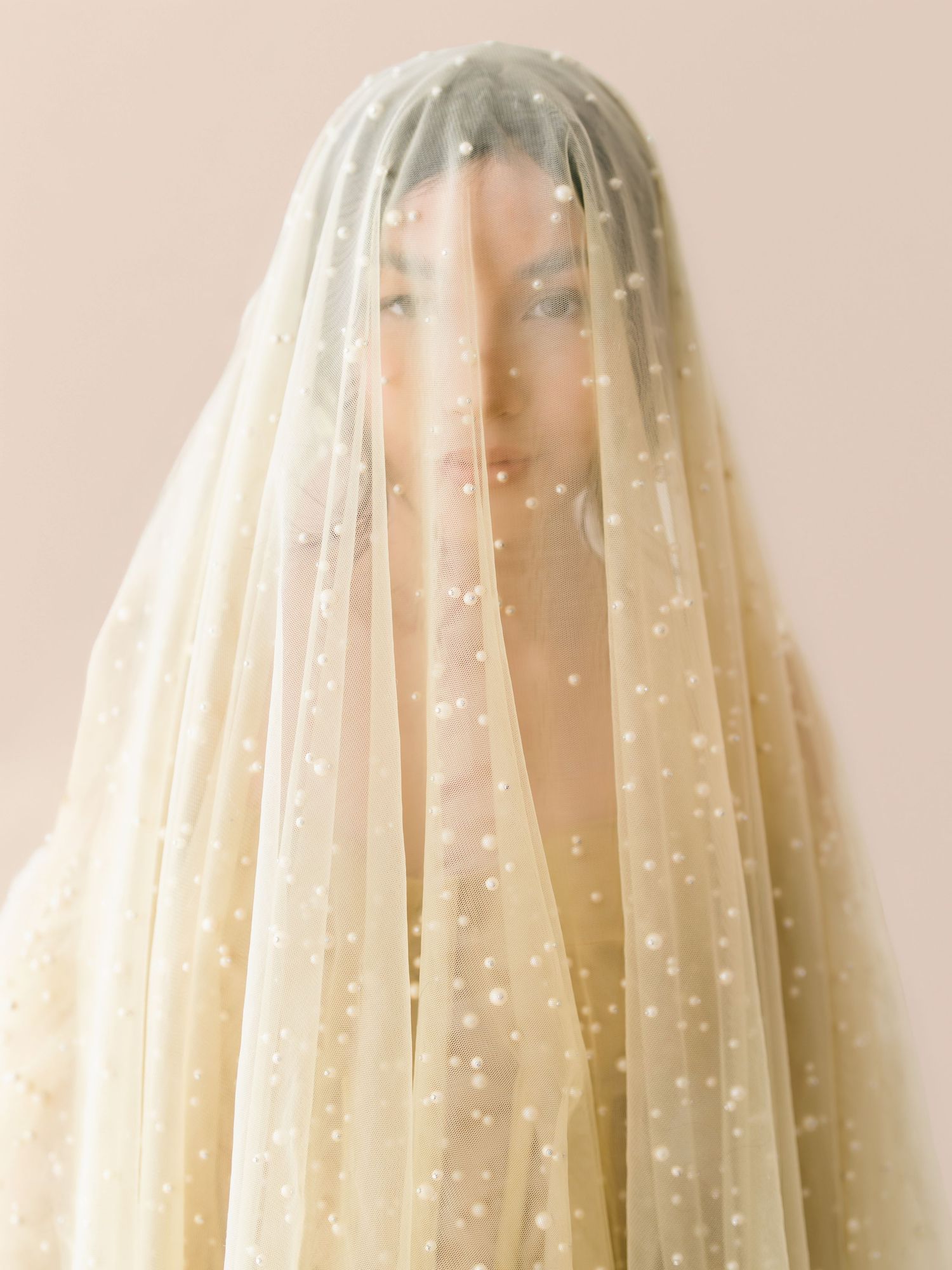 Bride wearing an ivory pearl-embellished tulle wedding veil draped over her face against a soft blush background.