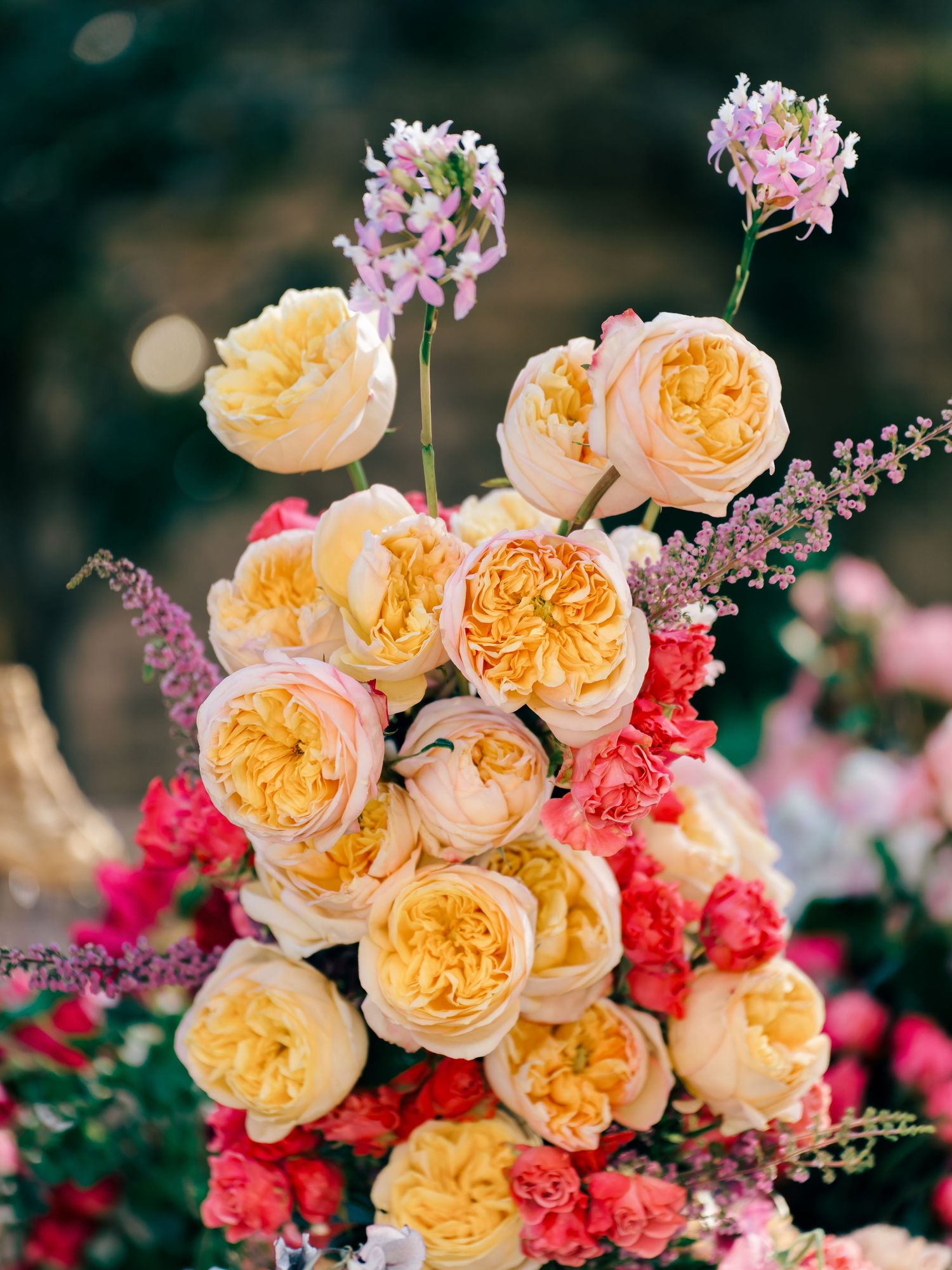 Elegant floral arrangement featuring peachy-orange garden roses with bright pink accents and delicate purple stems.