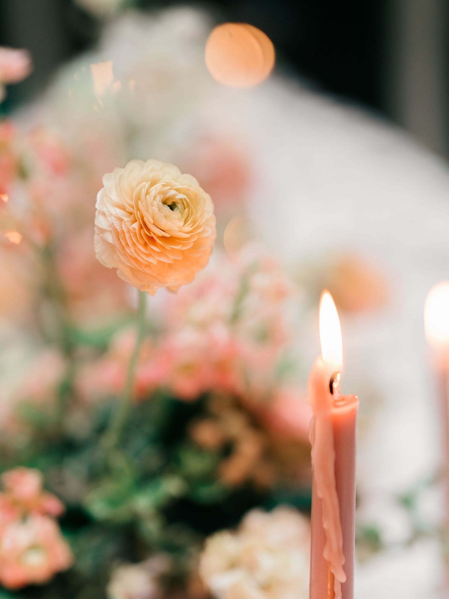 Peach-colored roses and lit candles create an elegant table setting with soft bokeh lighting effects in the background.