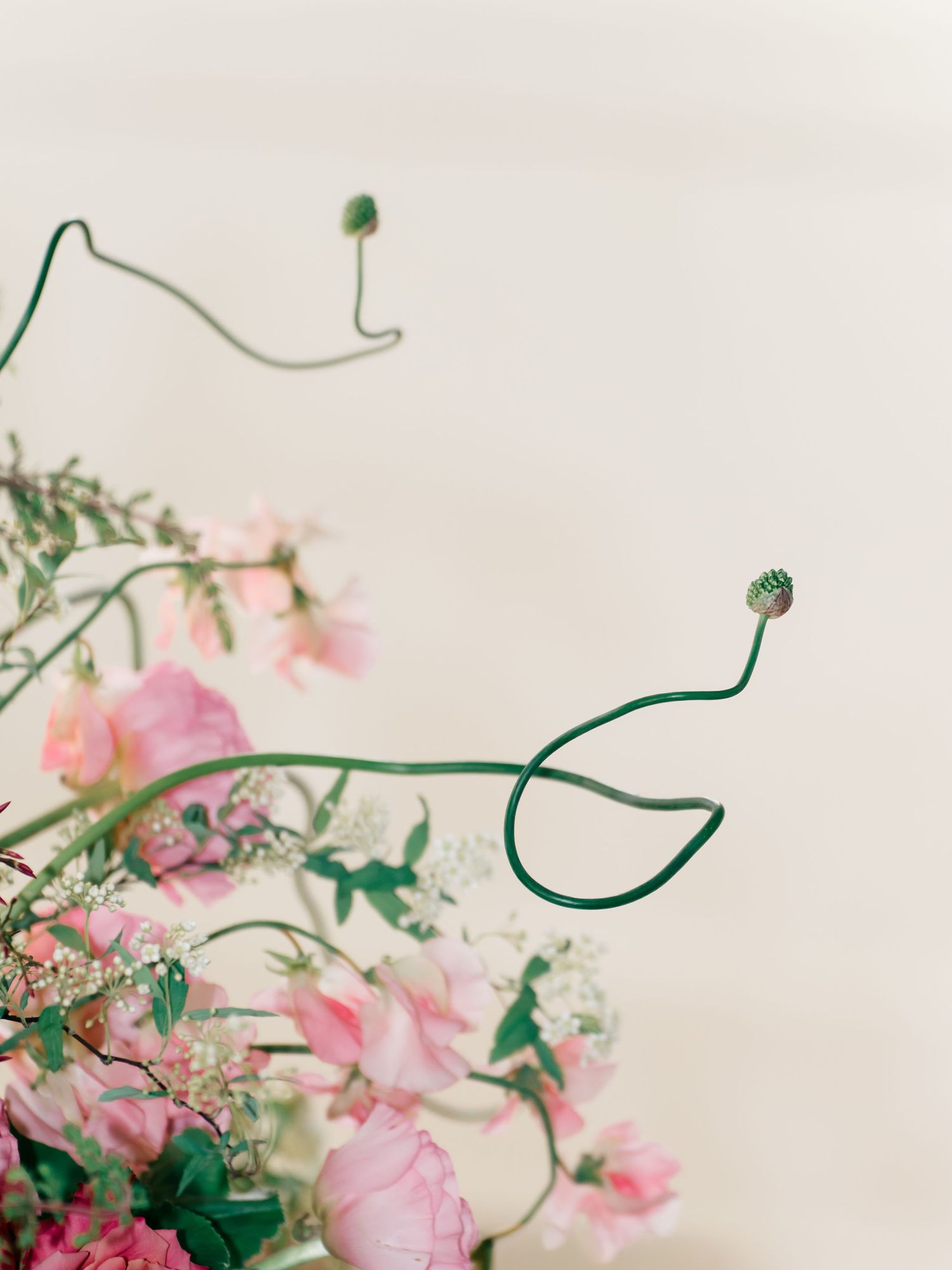Delicate pink flowers and green vines arranged in an artistic, ethereal composition against a white background.