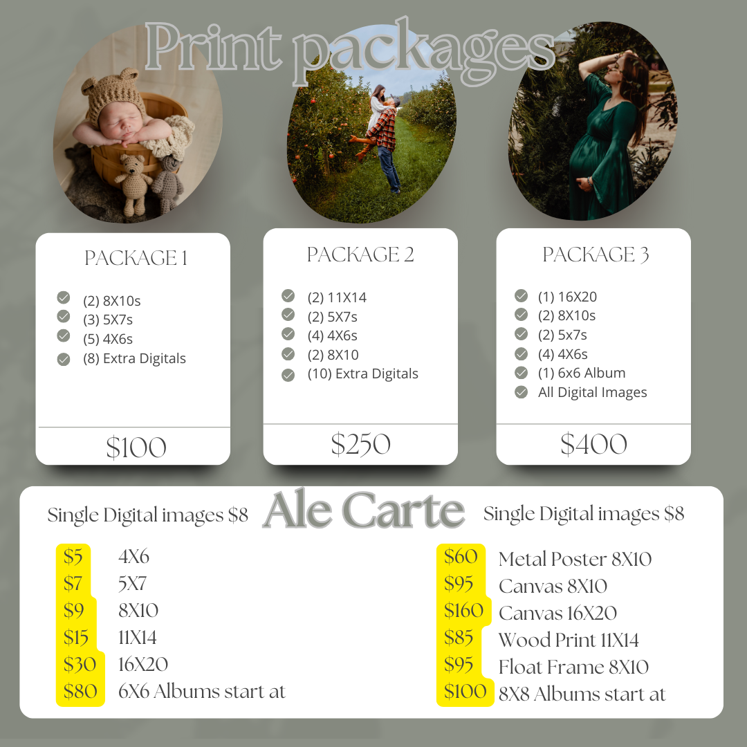 Photography pricing menu showing three packages and a la carte options with gold text on a dark background for portrait sessions.