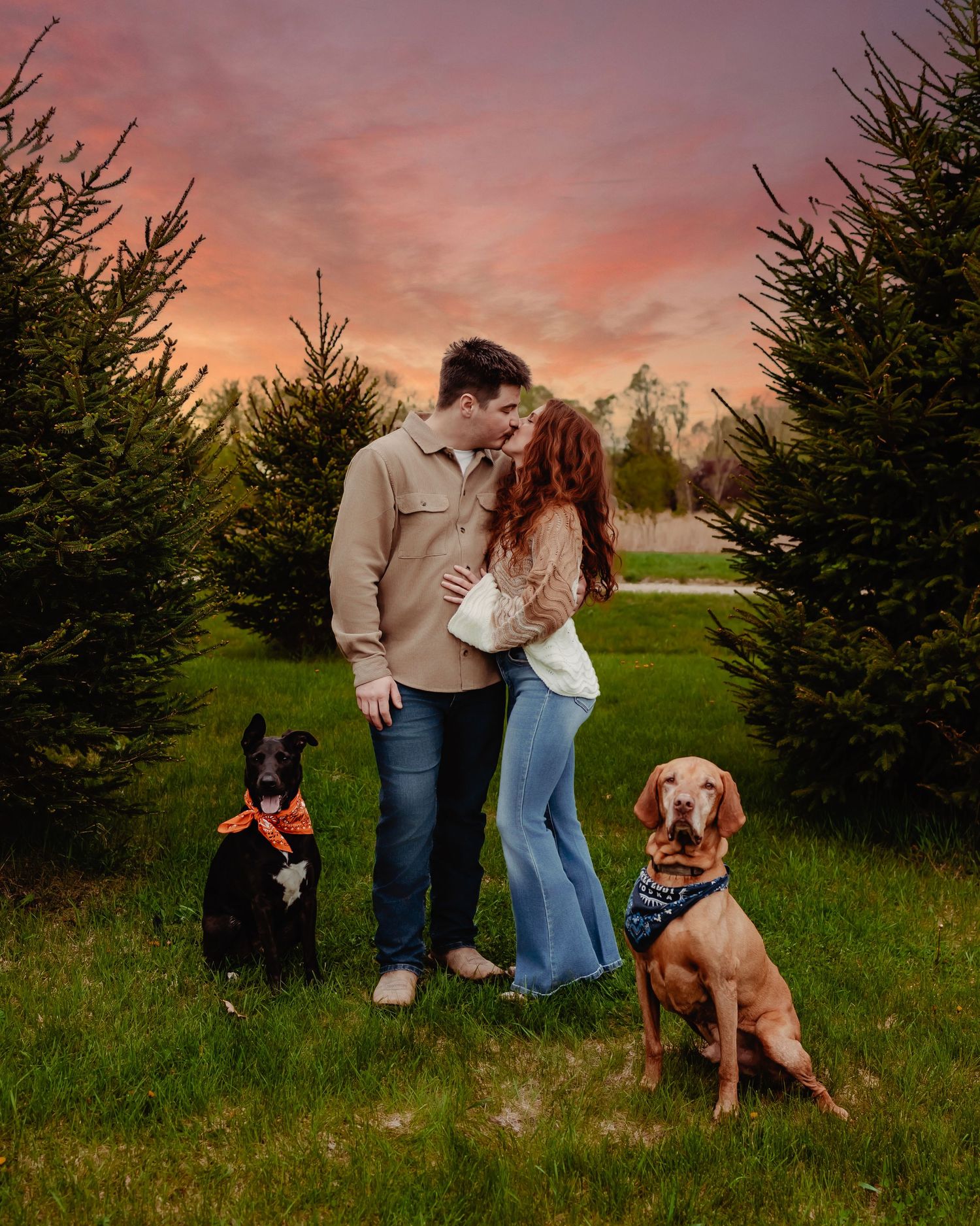 Couple standing with their dogs in a field of evergreen trees at sunset with pink and orange sky.