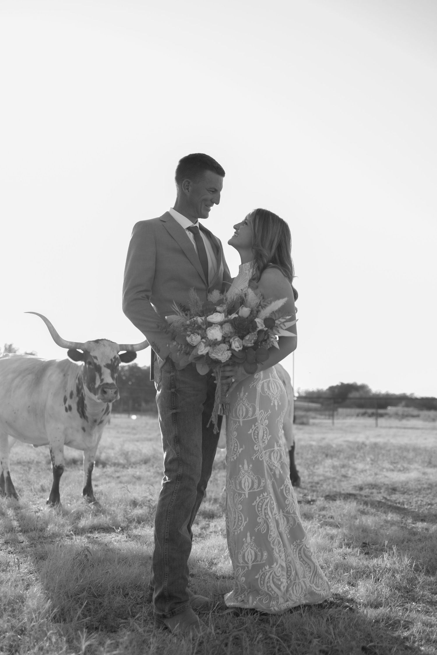 A romantic black and white wedding photo in a field with a longhorn steer in the background as the couple holds a bouquet.