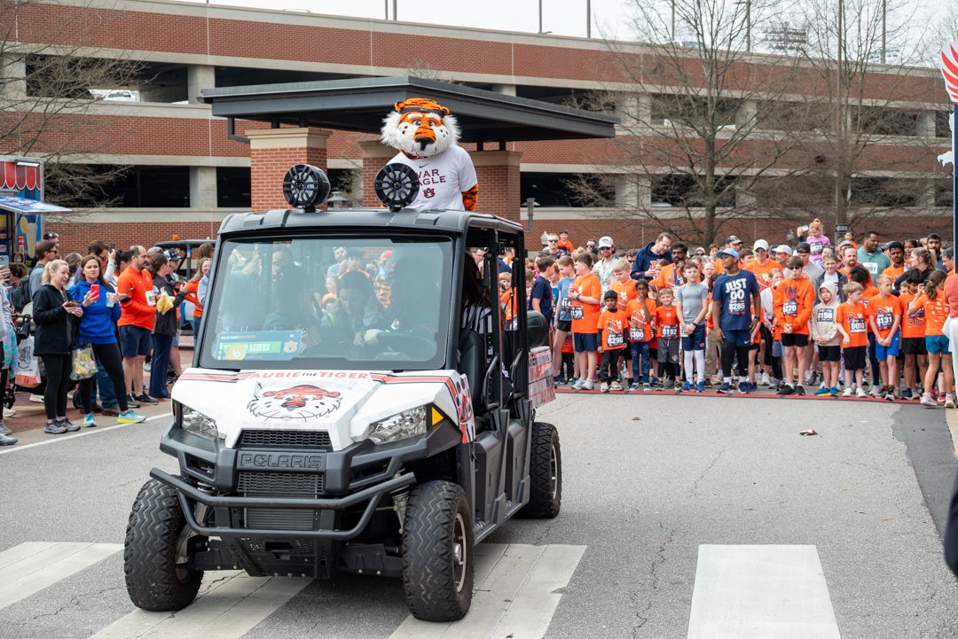Auburn Tigers mascot Aubie rides a white utility vehicle to start the children's fun run at War Eagle Run Fest.