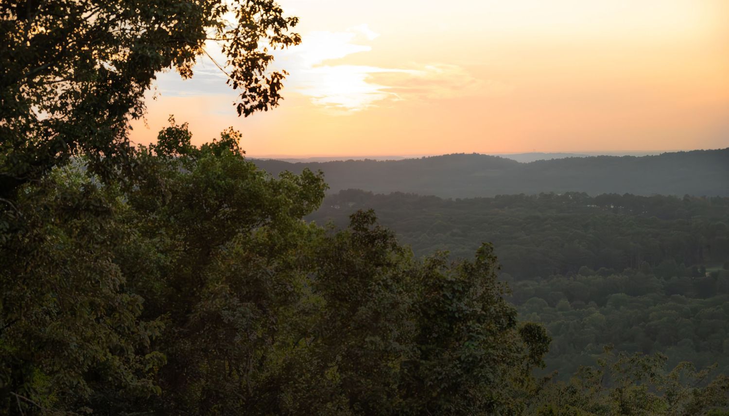 Golden sunset in Bluff Park overlooking rolling forested hills with lush green trees in the foreground creating a serene landscape.