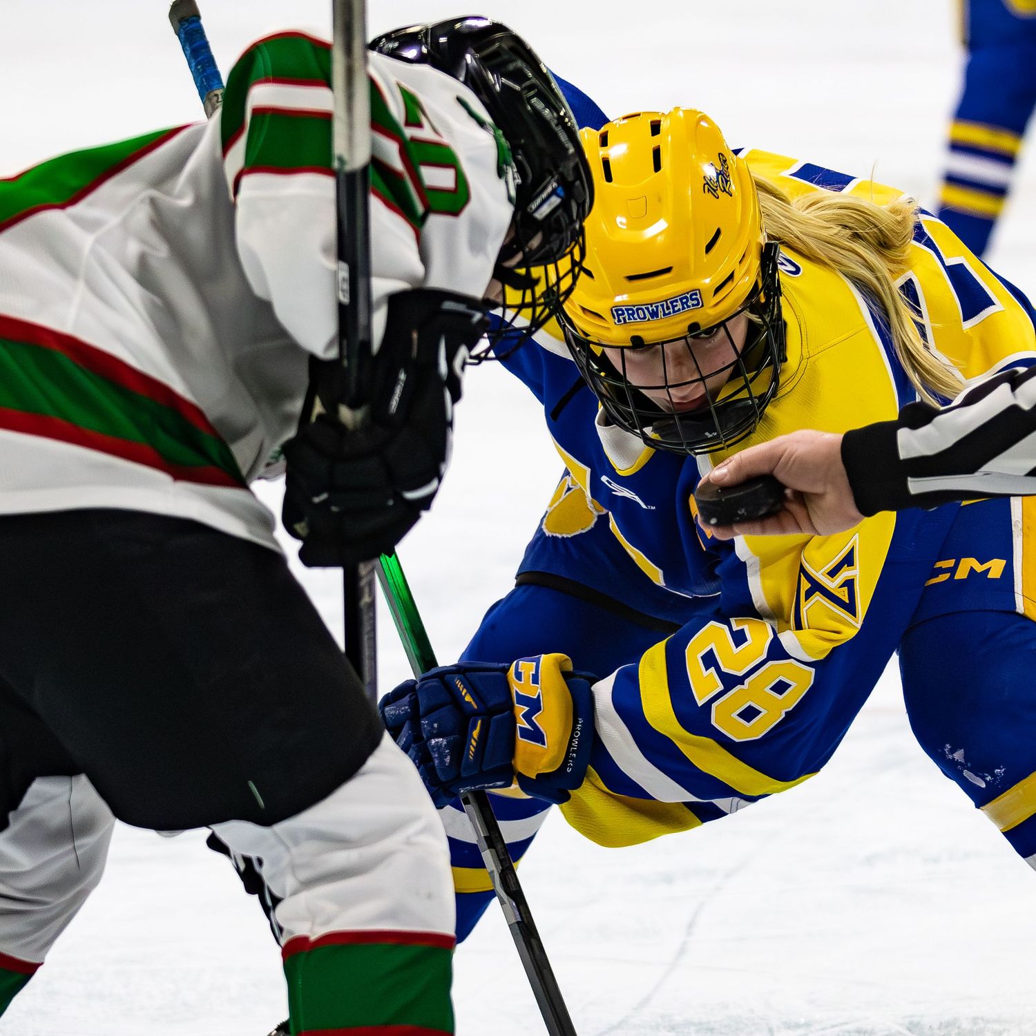 Two youth hockey players battle during a faceoff, one in blue and yellow, one in white and green uniforms.