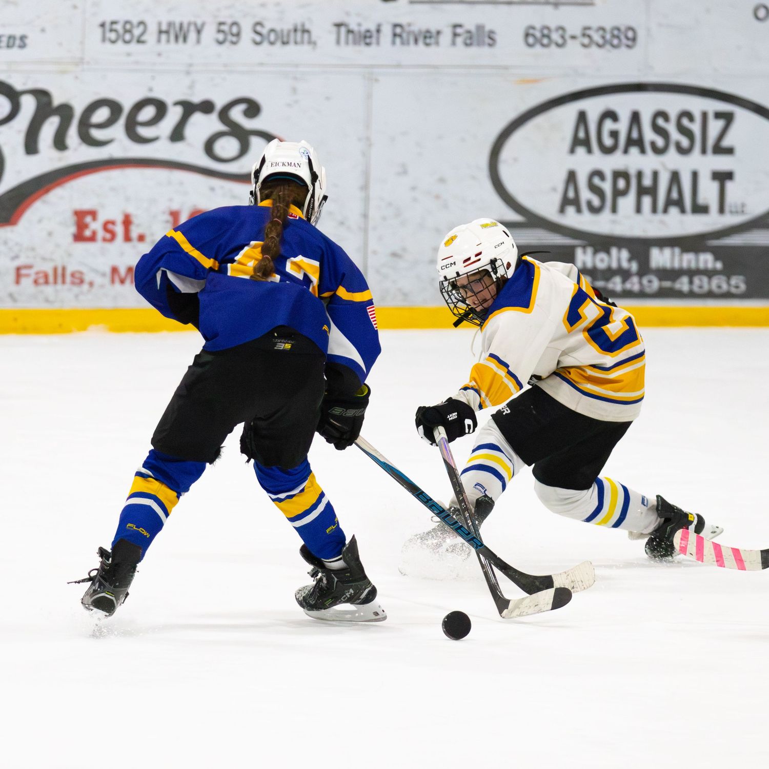Two youth hockey players battle for puck near boards during game in Thief River Falls arena.