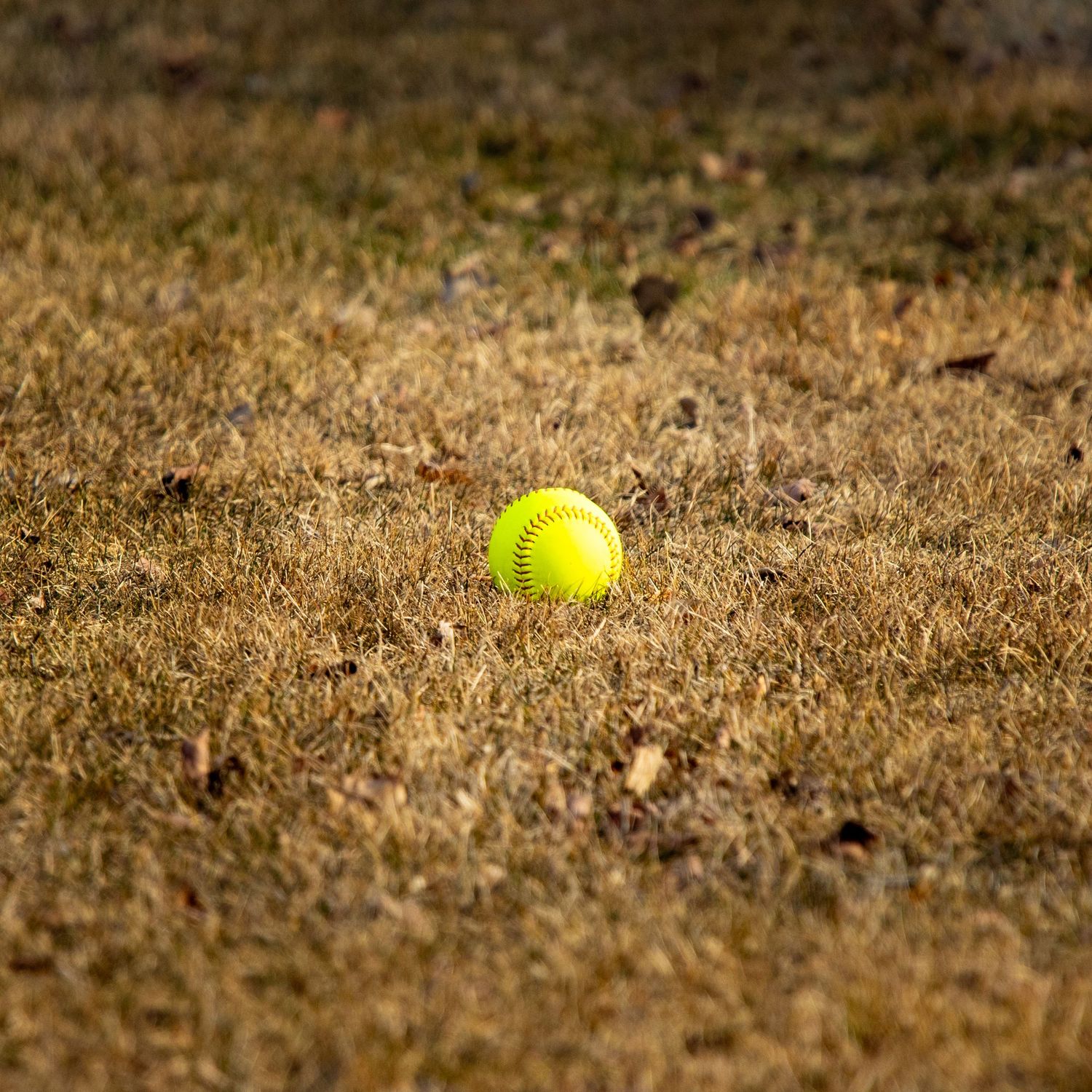 A bright yellow softball resting on dry brown grass in an outdoor field.