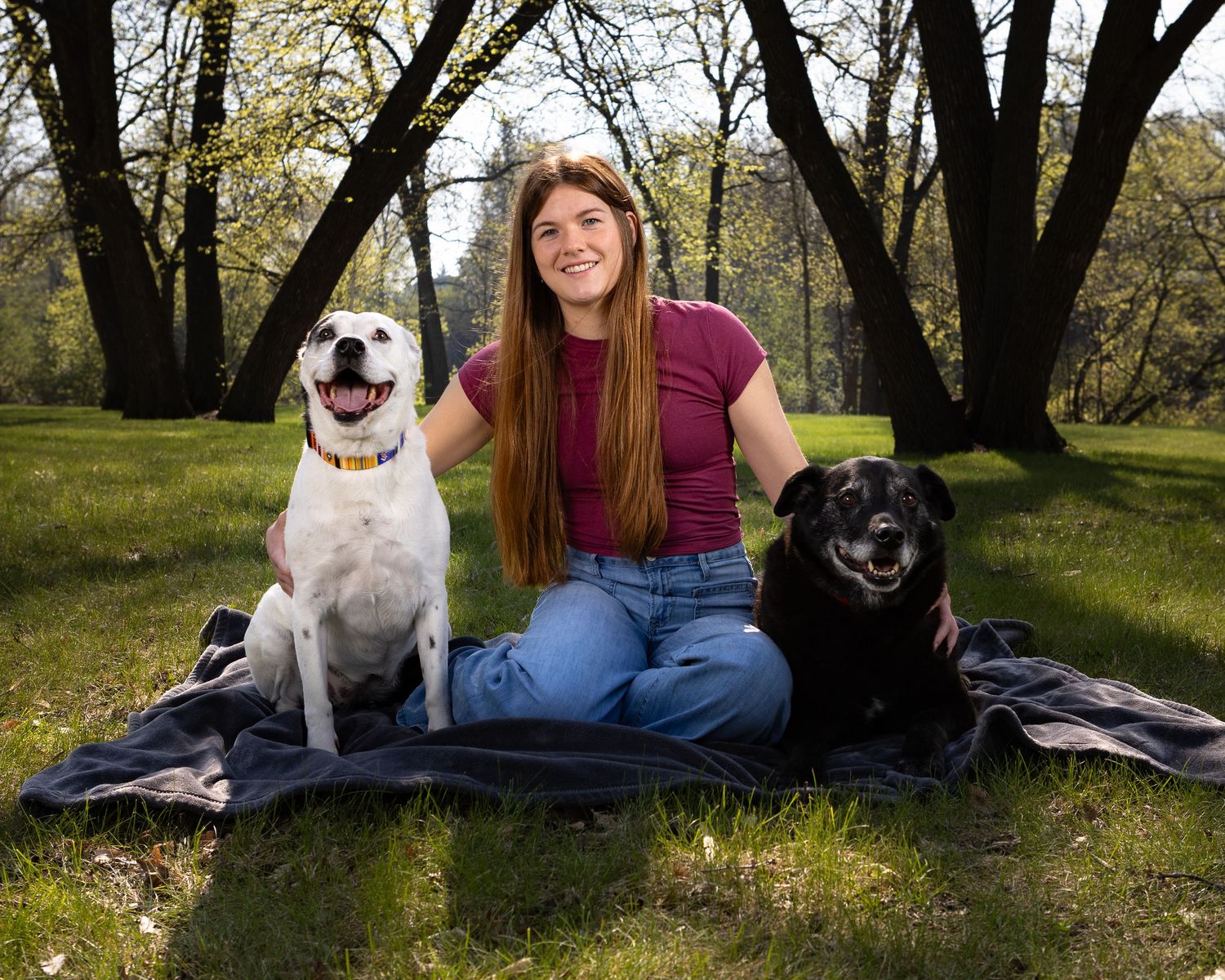 Woman sitting on blanket in park with white and black dogs on sunny day.