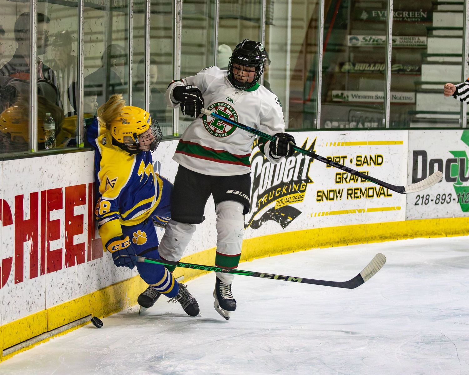 Two ice hockey players collide near the boards during an intense game at an indoor rink.