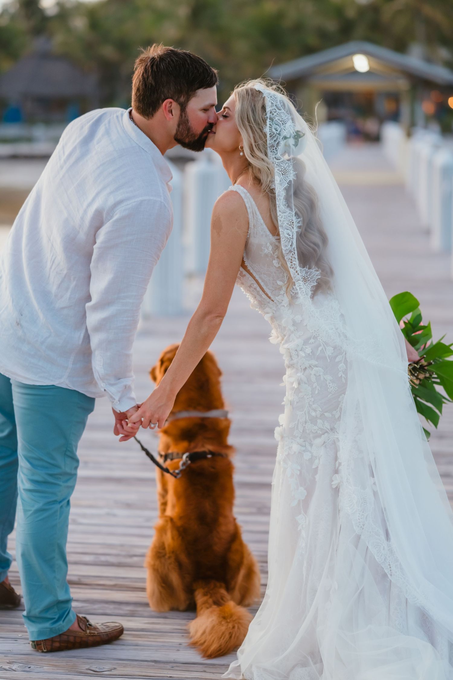 Bride and groom share a kiss on a pier holding hands with their golden retriever dog nearby.