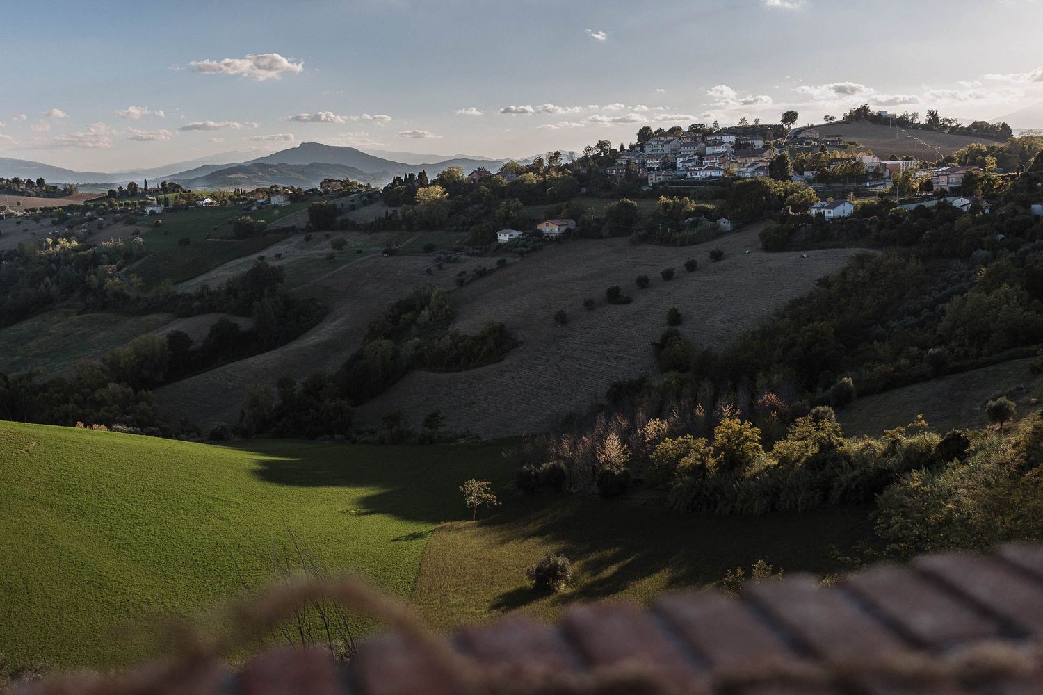Rolling countryside landscape of the Marche region in central Italy