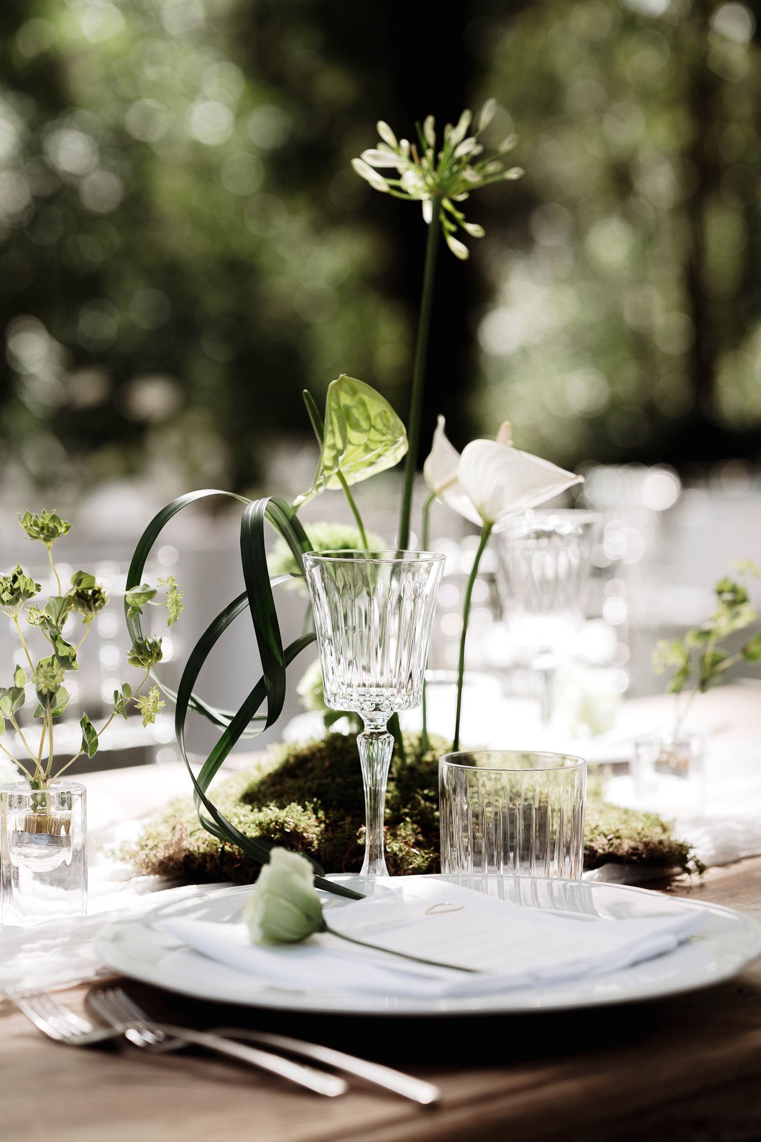 Atmosfera del matrimonio alla Badia di San Vittore