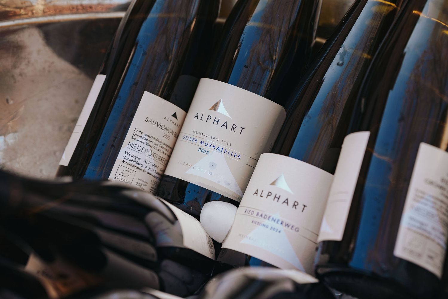 Flaschen Alphart-Wein kühlen in einem Eisbehälter bei einer Weinverkostung im Freien