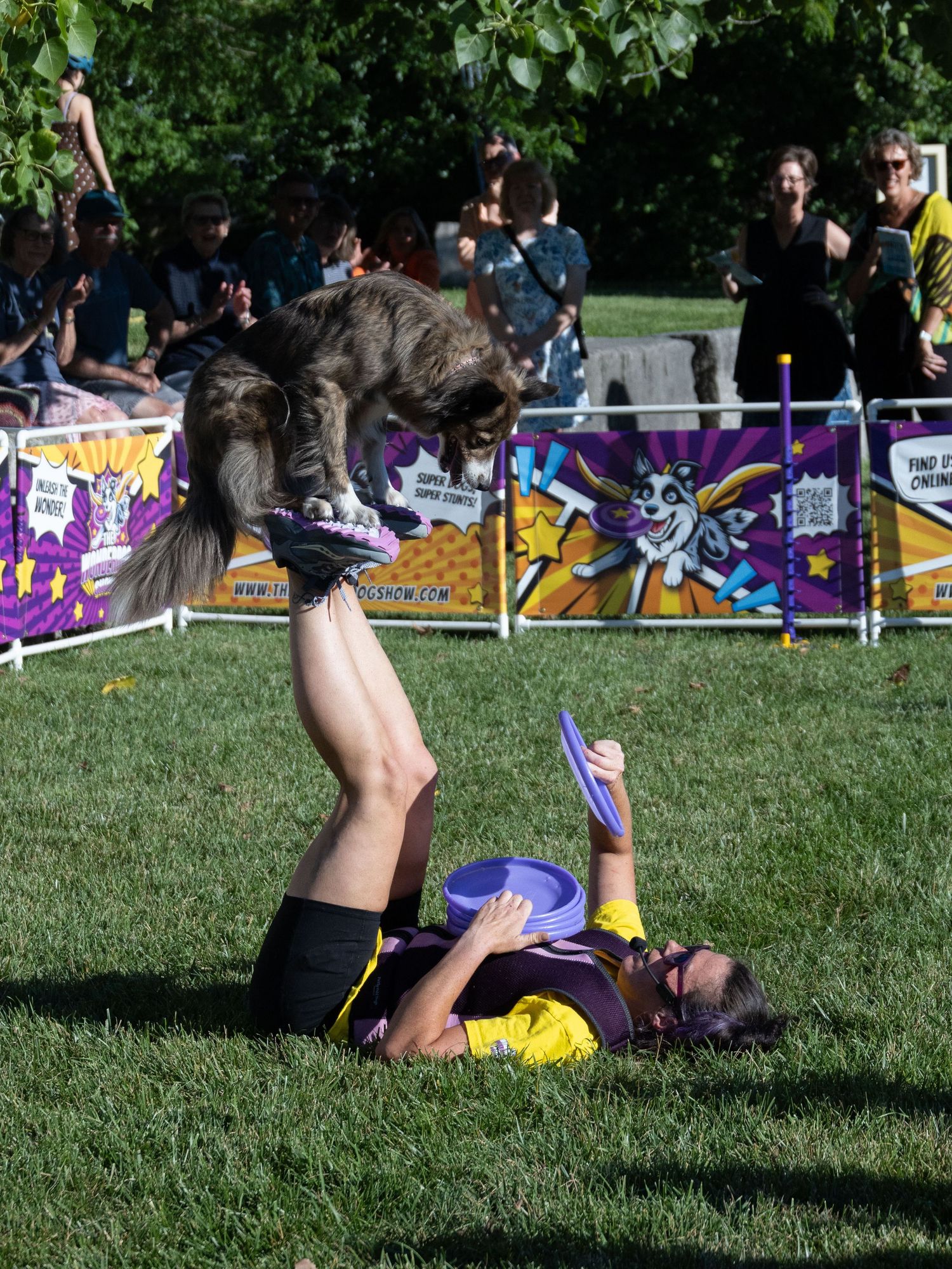 Medium sized brown dog performing a trick on the dog trainer's feet in the air. Signs say the Wonderdog Show.