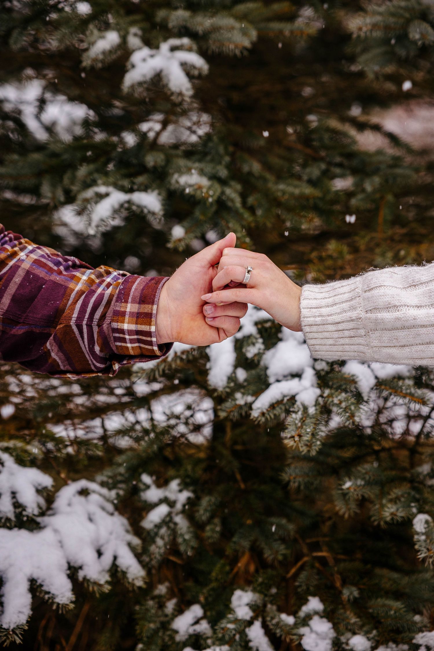 romantic engagement session in Michigan couples photography