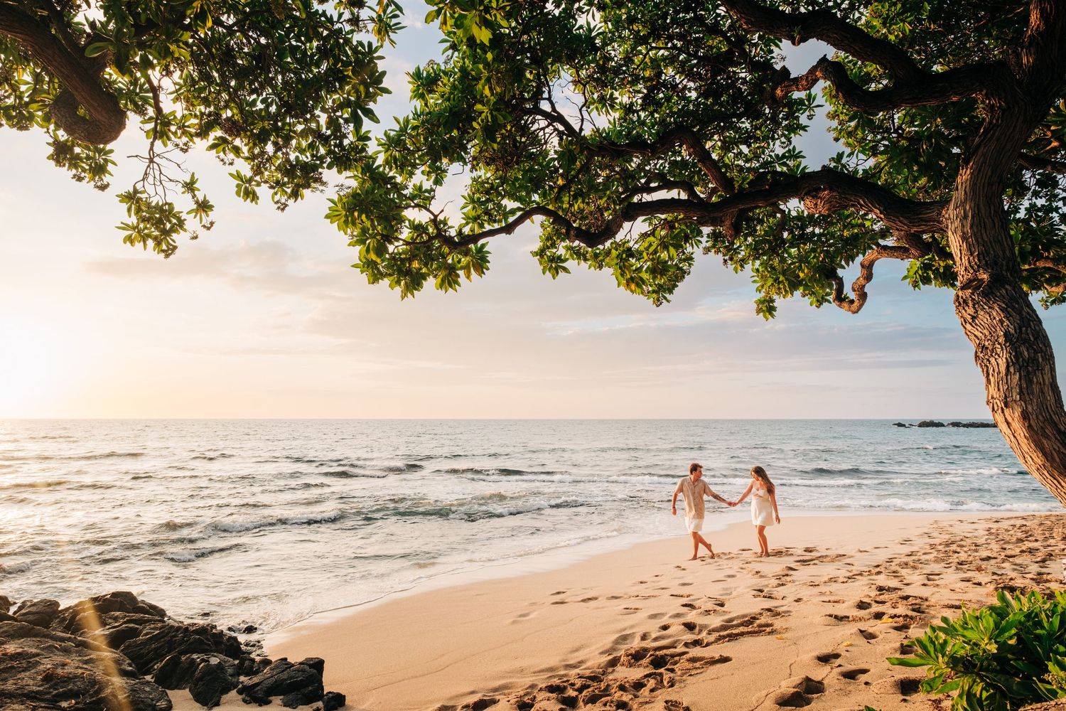 Wide angle beach landscape with palm trees casting shadows during sunset in Hawaii at Kukio Beach, Kona, Big Island of Hawaii.