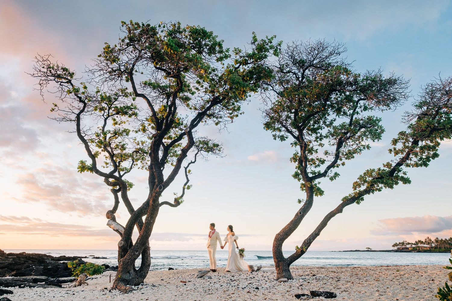 A scenic coastal landscape with gnarled trees against a sunset sky on a rocky shoreline at Kikaua Point Beach, Big Island of Hawaii.