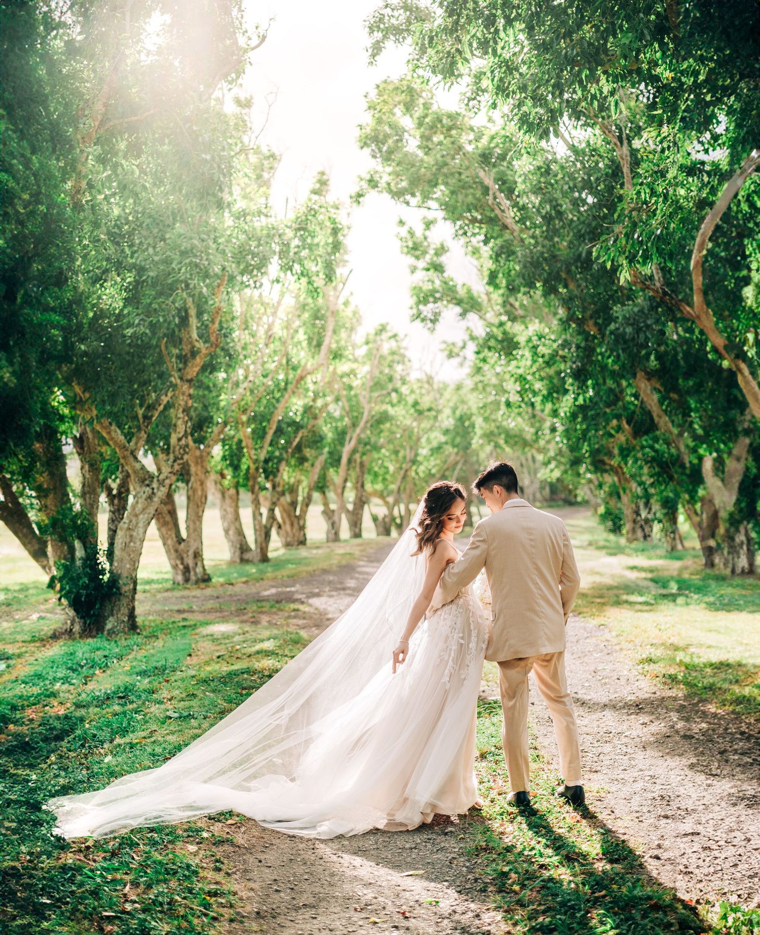 Dreamy wedding photos along a tree-lined path with flowing white dress and natural lighting at Puakea Ranch, Big Island of Hawaii.