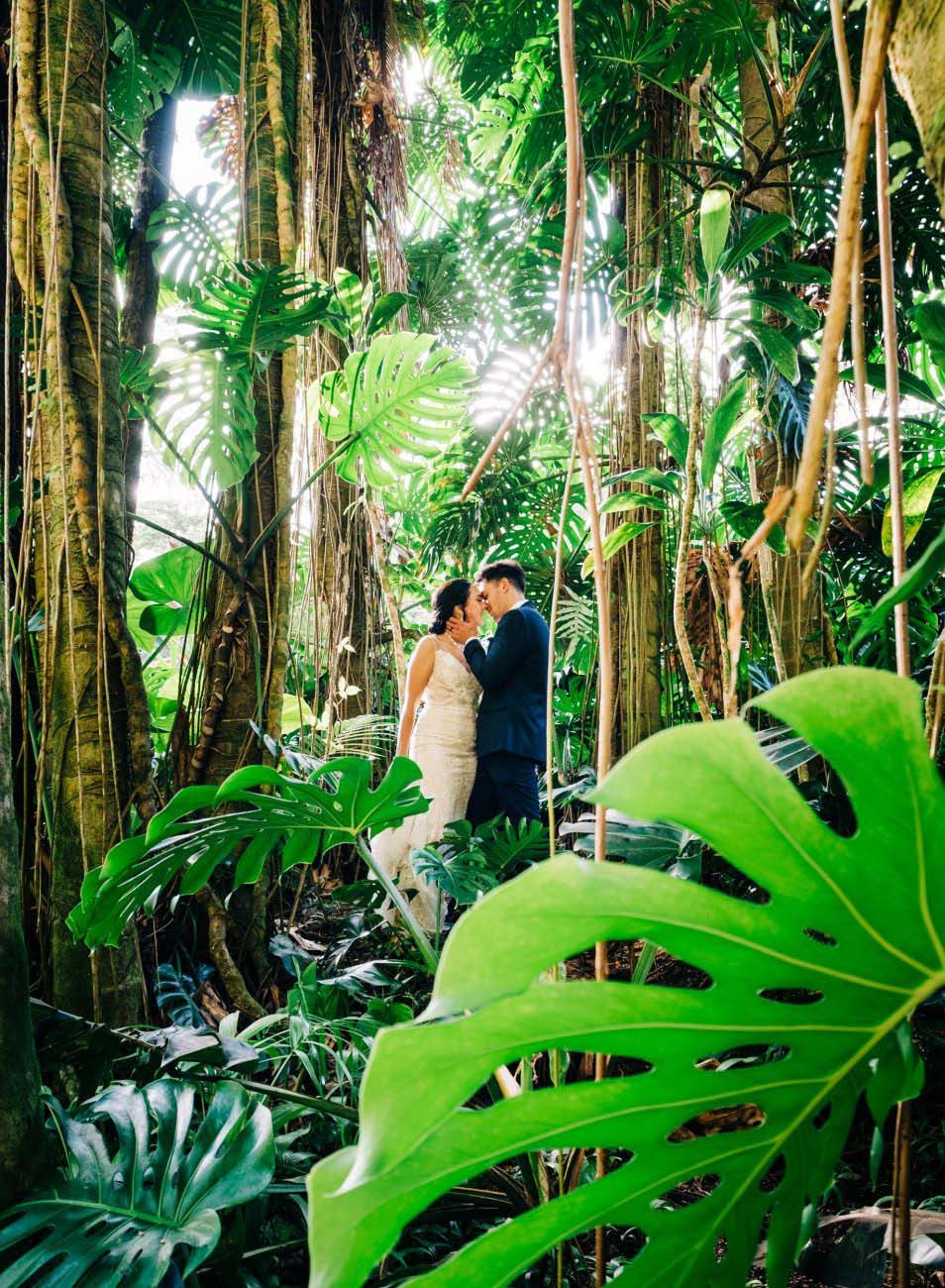 Tropical garden wedding photos with large monstera leaves in foreground at the Falls at Reeds Island, Hilo, Big Island of Hawaii.