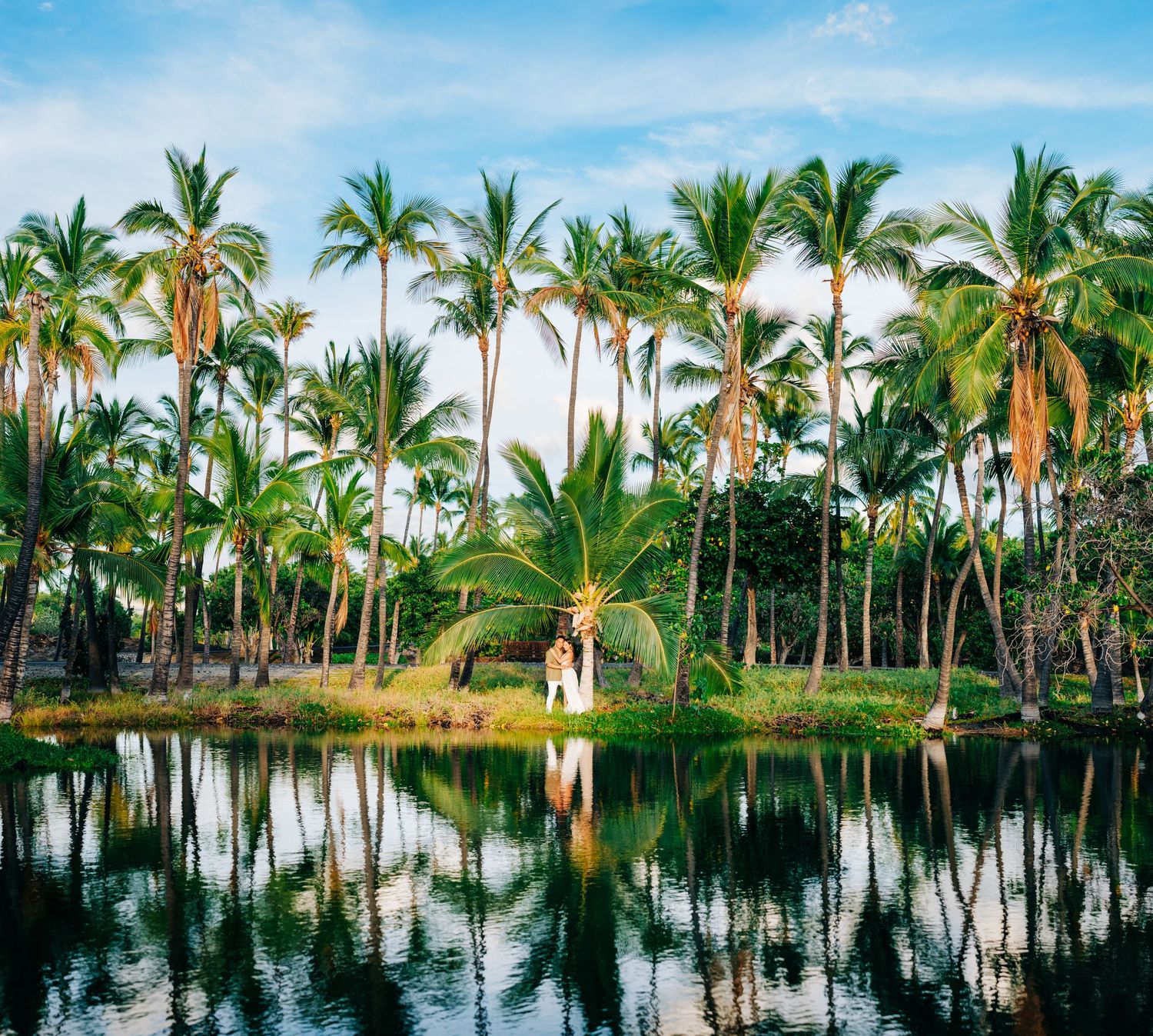 Scenic palm tree reflection in still waters creating perfect mirror image at Mauna Lani, Big Island Hawaii.