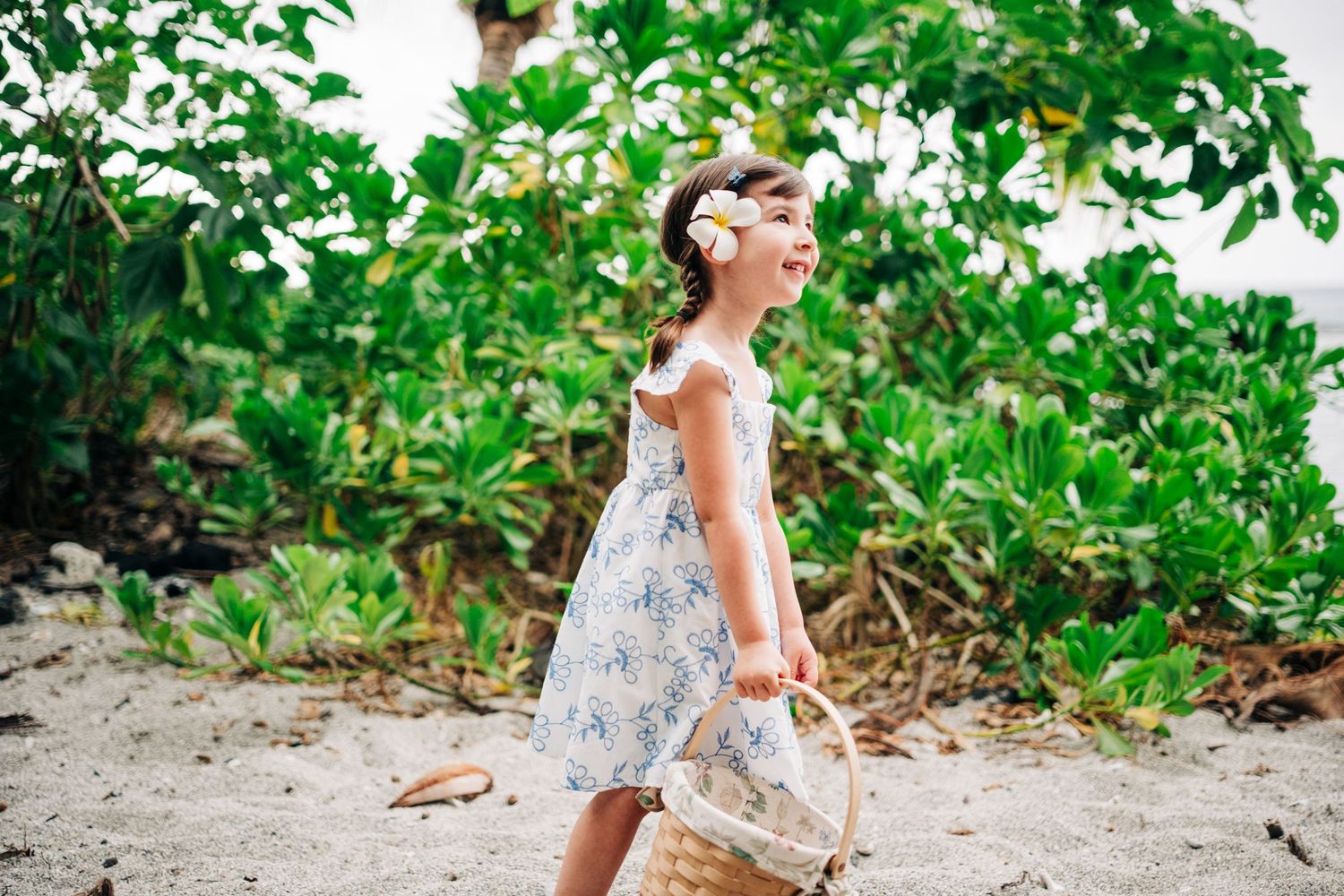 Tropical beach setting with lush green foliage and palm trees in Kona, Big Island of Hawaii.