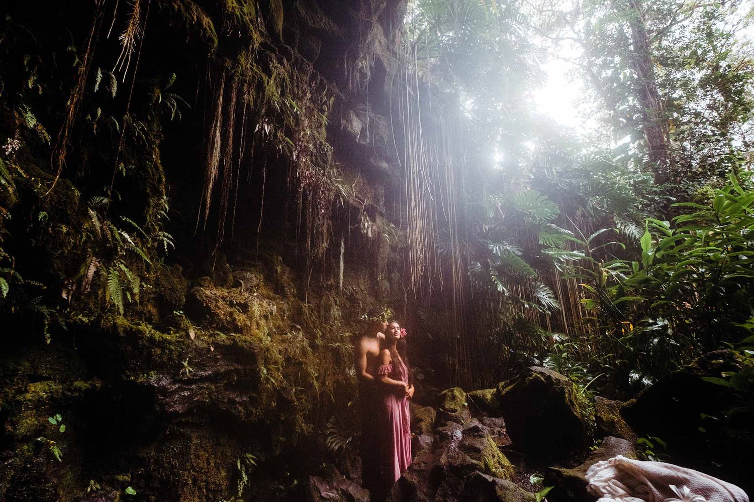 Sunlight streams through tall trees in a misty forest cave setting in Hilo, Big Island of Hawaii.