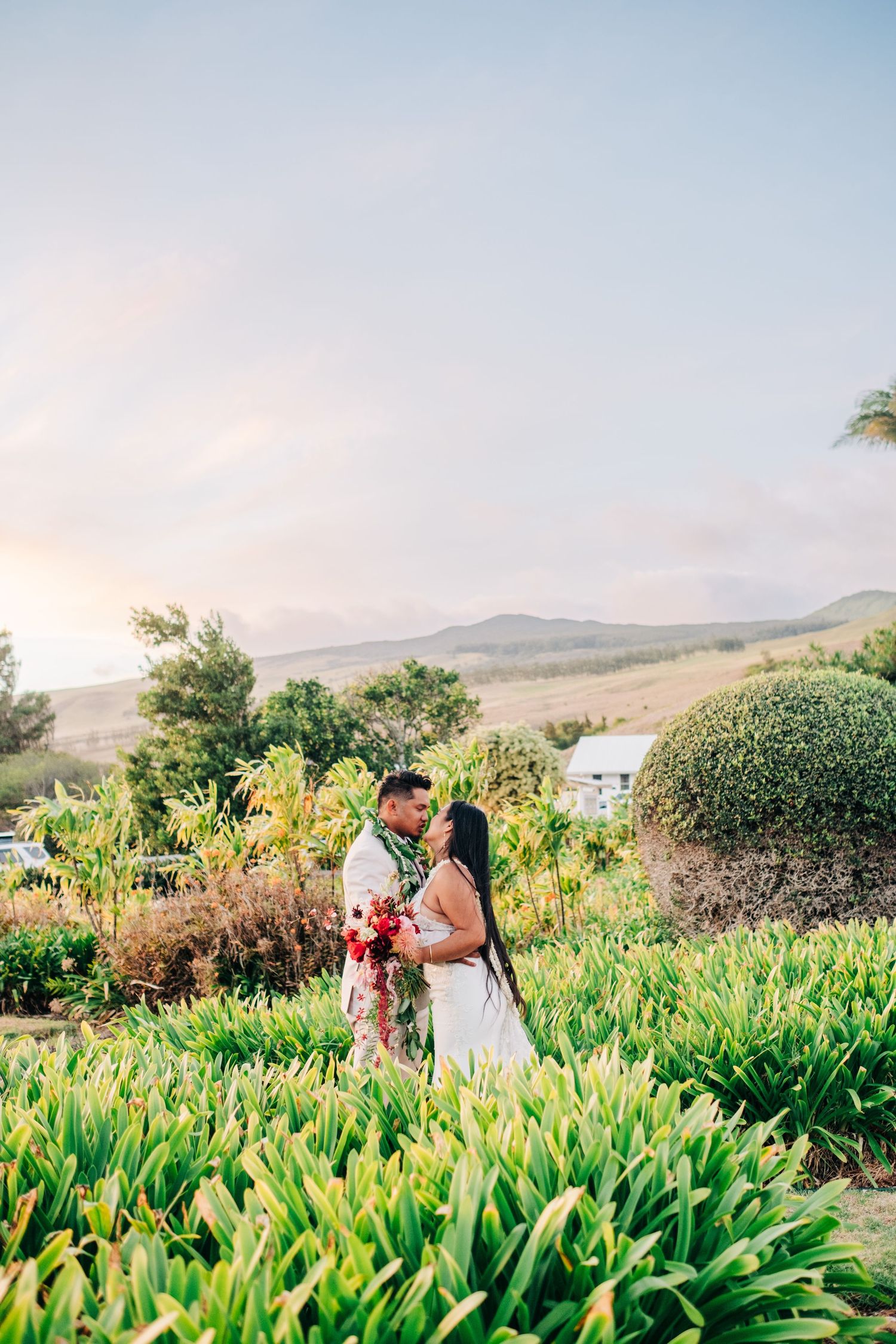 Anna's Ranch wedding in Waimea, Big Island Hawaii. Romantic couple portraits at sunset among tropical plants and agave fields.