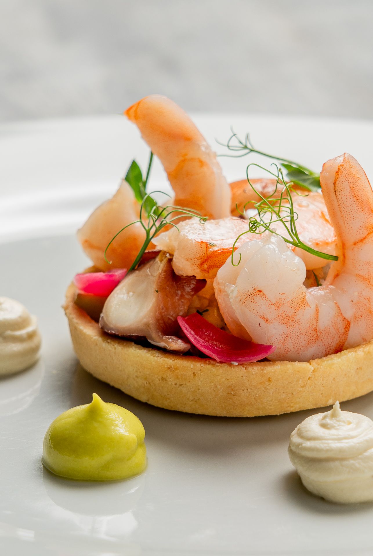 Elegant shrimp tart with pickled radish, dill, and dollops of avocado and cream sauce on a white plate.