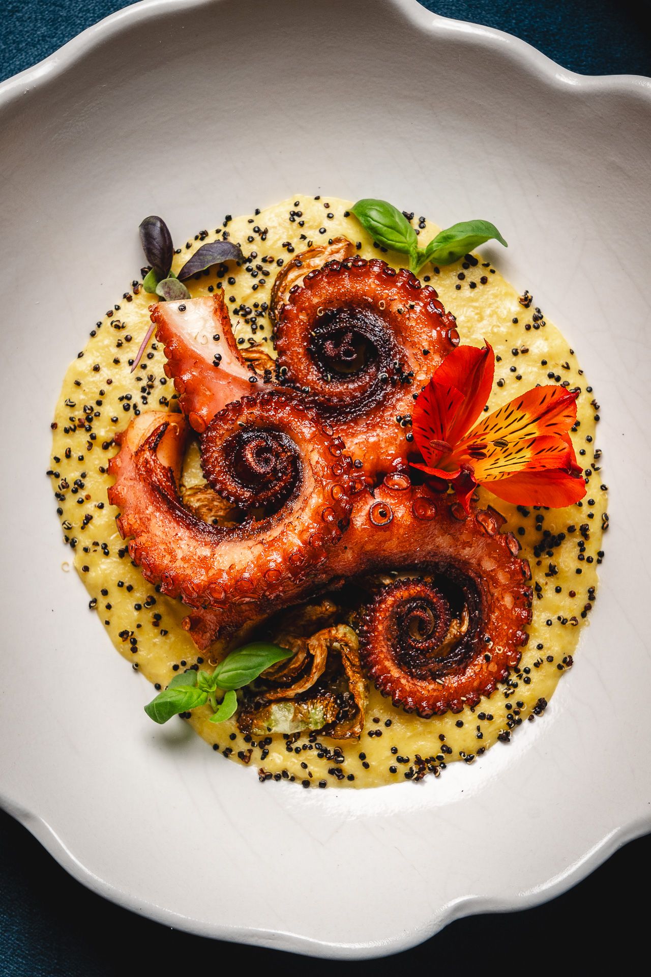 Grilled octopus tentacles on creamy polenta with black quinoa, fresh basil, and red flower garnish in white bowl.