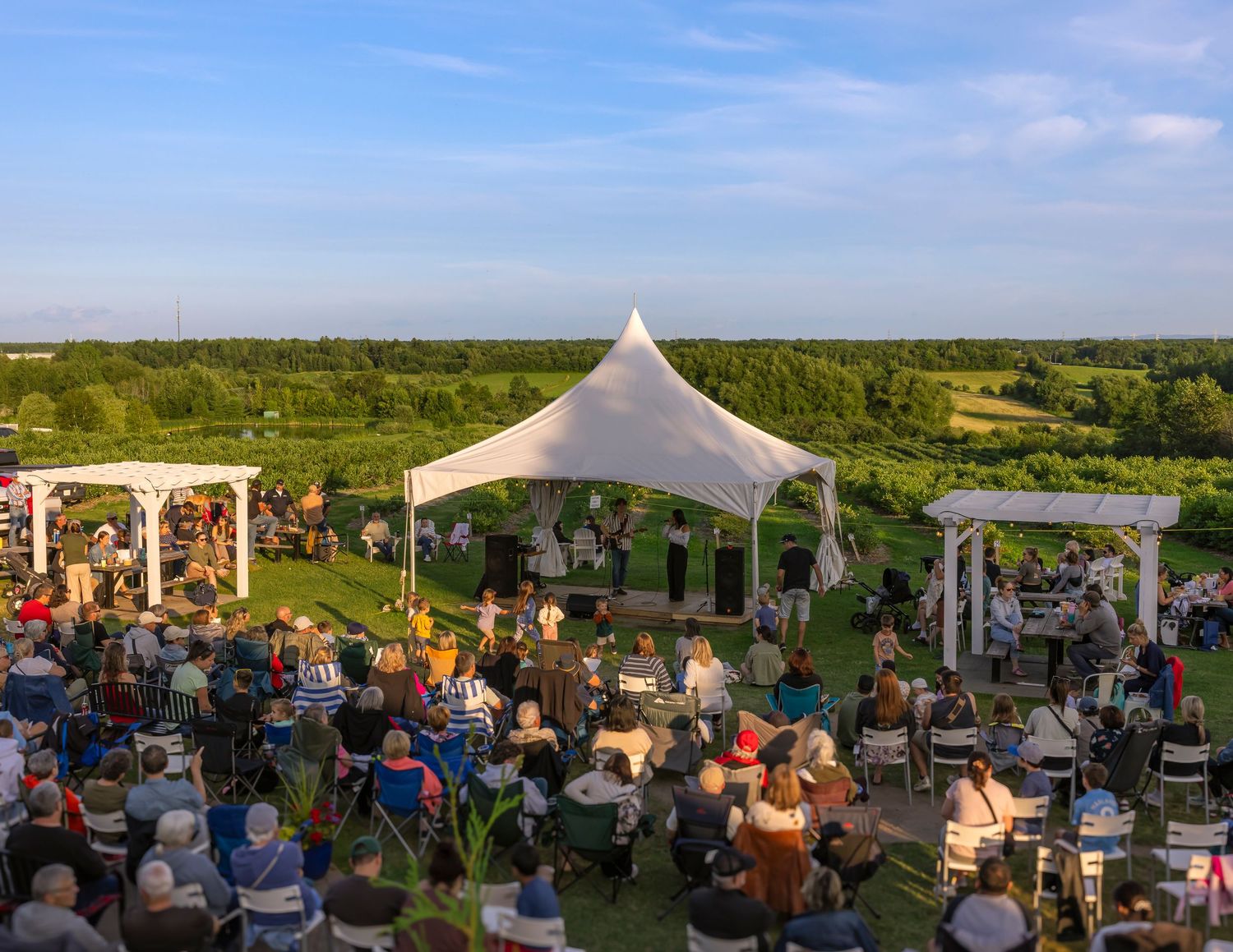 An audience seated on lawn chairs watches a live performance beneath a white tent in a green vineyard-style outdoor venue.