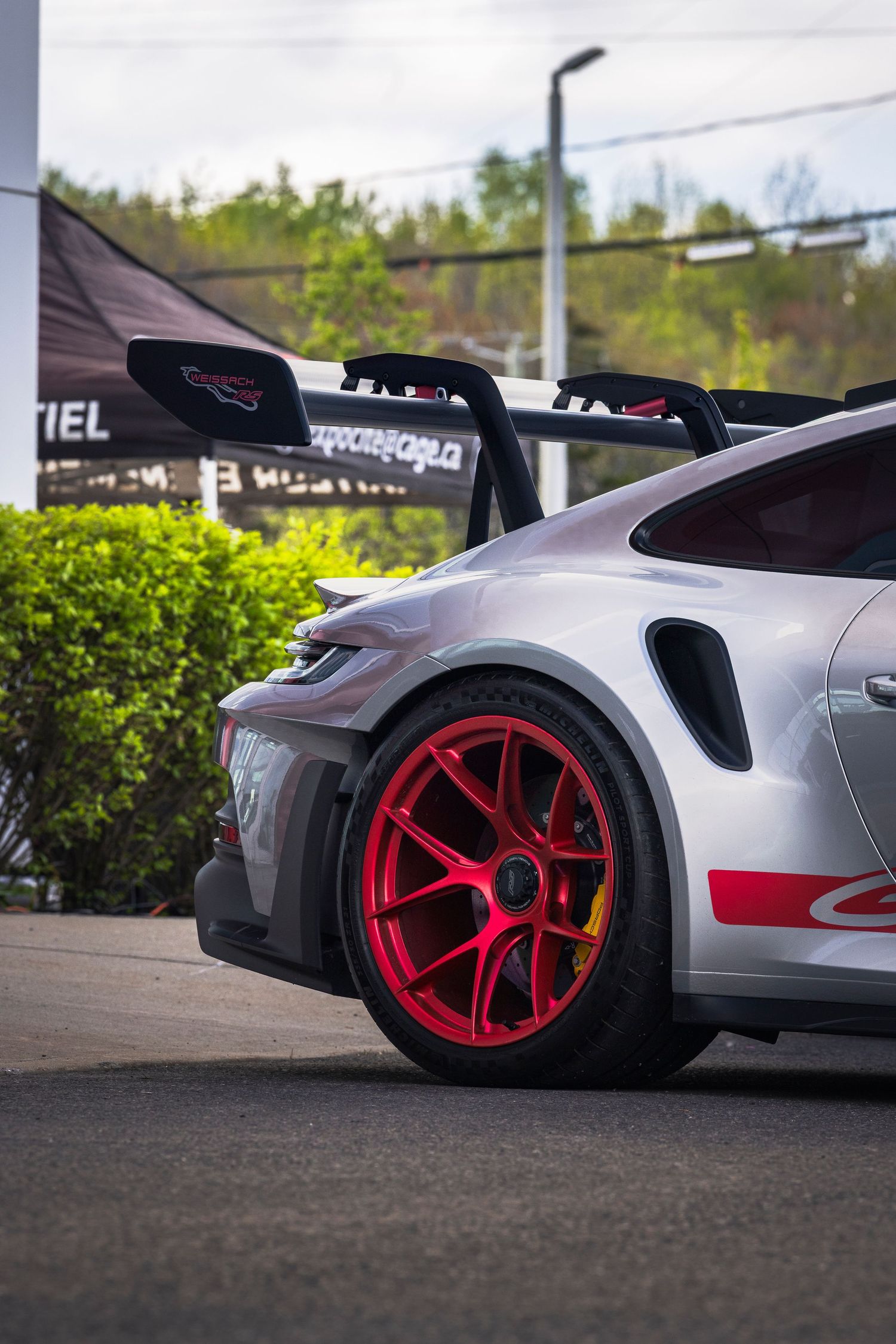 Rear quarter view of a silver Porsche GT3 RS with a large rear wing and red forged wheels parked beside green shrubs.