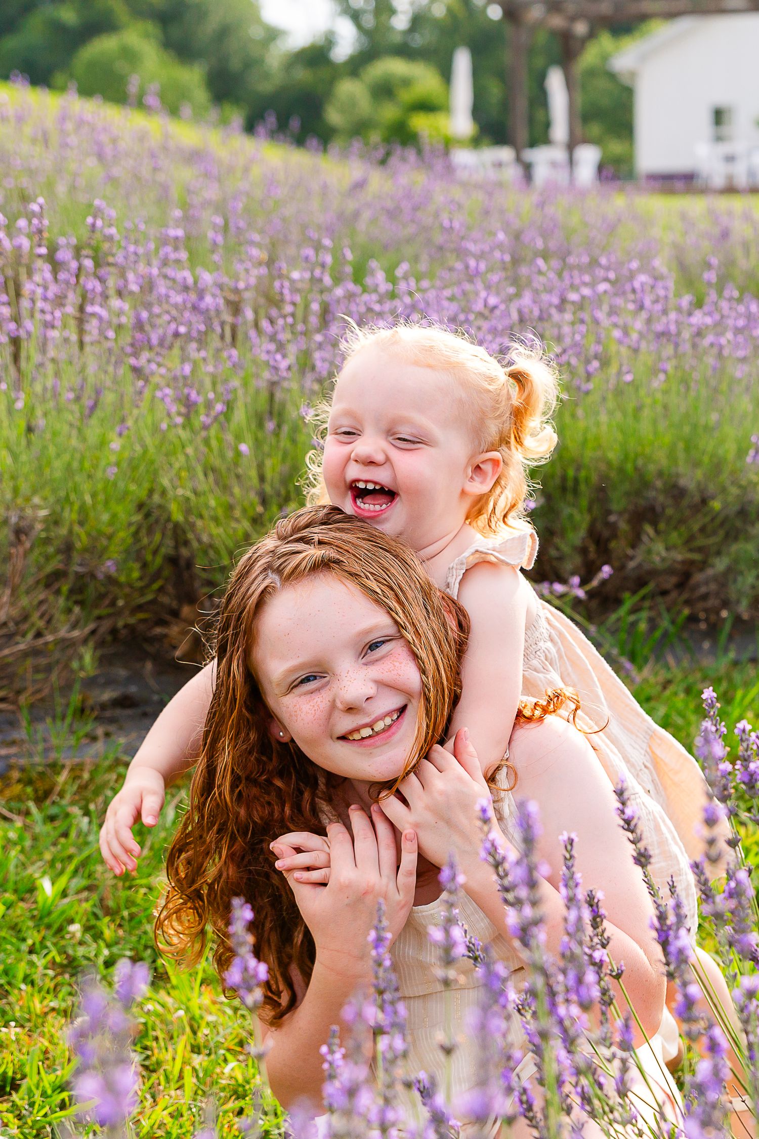 Children playing and laughing in a blooming lavender field on a bright summer day.